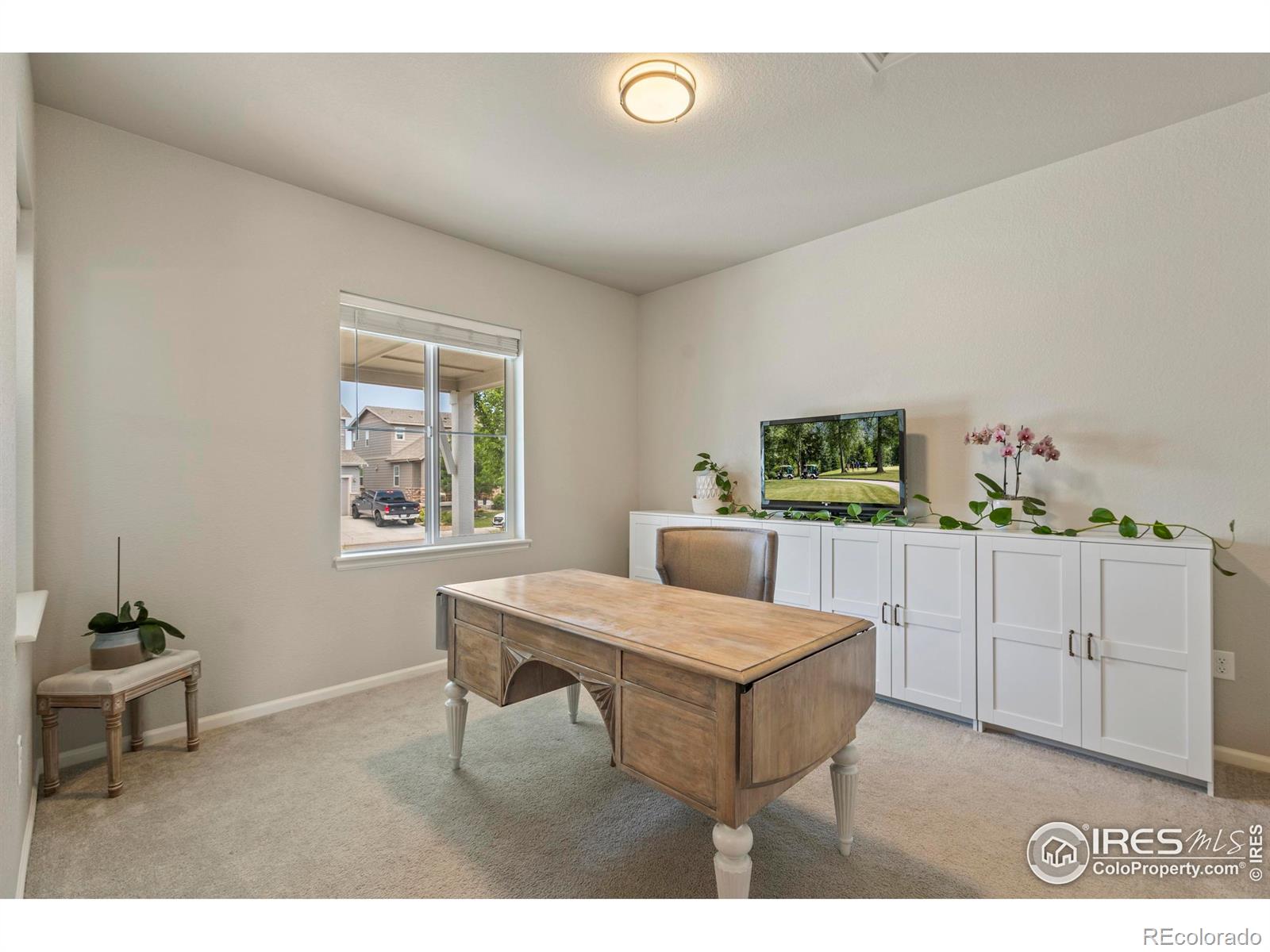 MLS Image #16 for 387  seahorse drive,windsor, Colorado