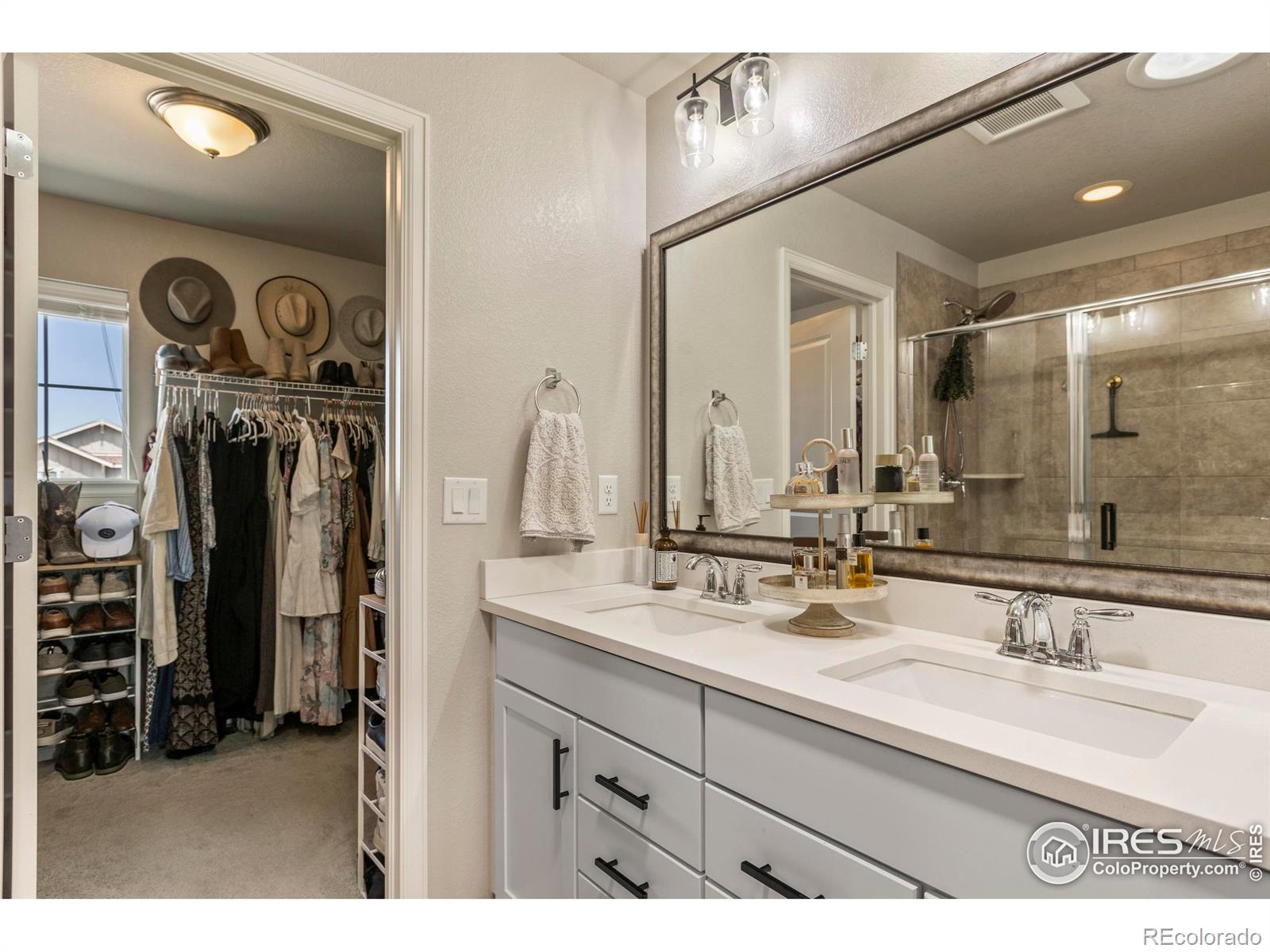 MLS Image #19 for 387  seahorse drive,windsor, Colorado