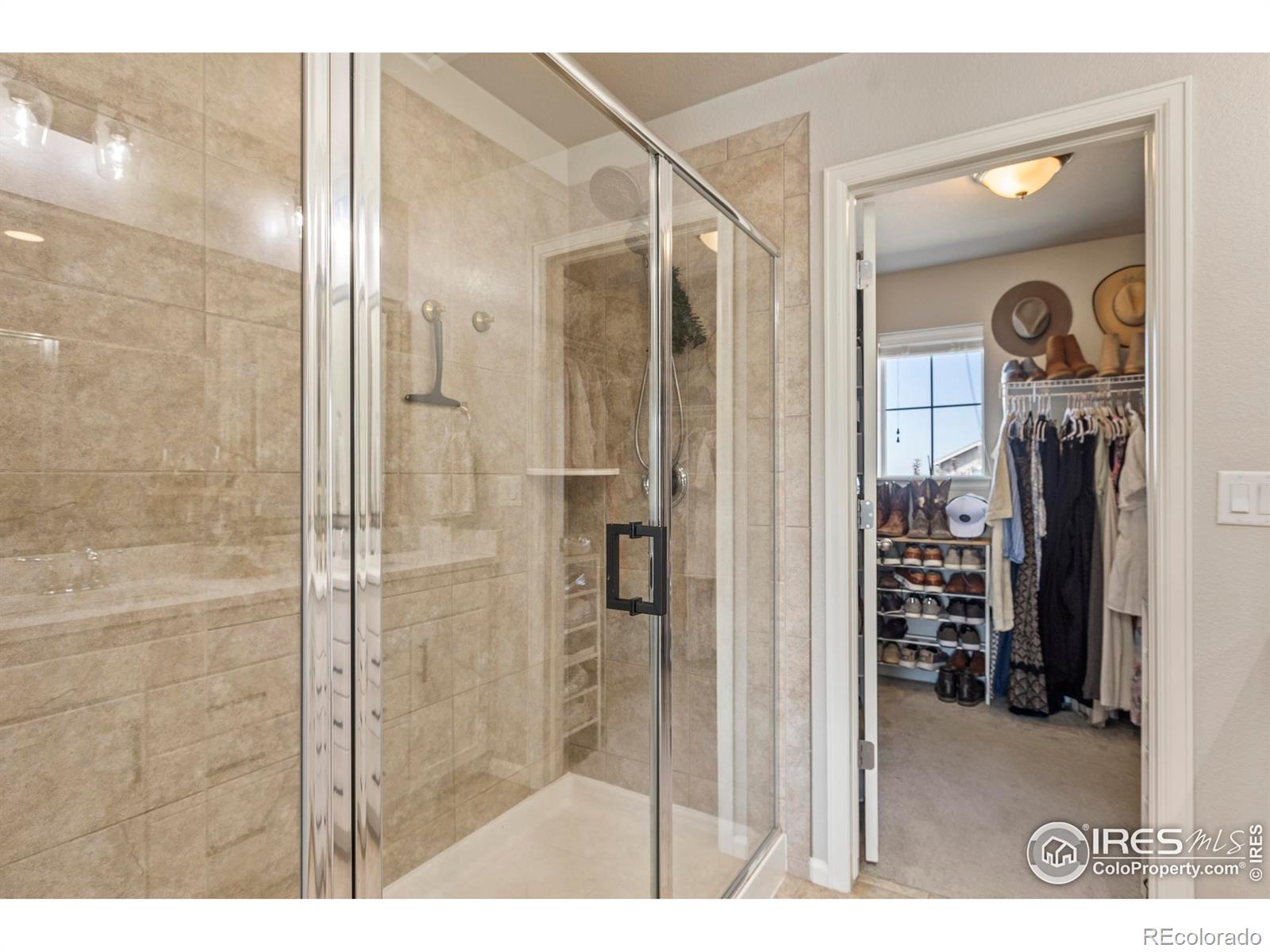 MLS Image #20 for 387  seahorse drive,windsor, Colorado