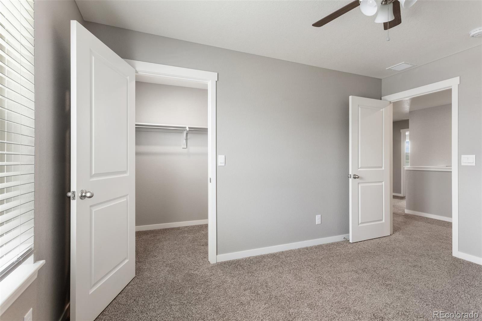 MLS Image #18 for 2248  rosette lane,castle rock, Colorado