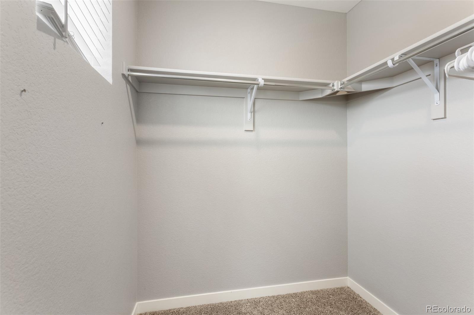 MLS Image #19 for 2248  rosette lane,castle rock, Colorado
