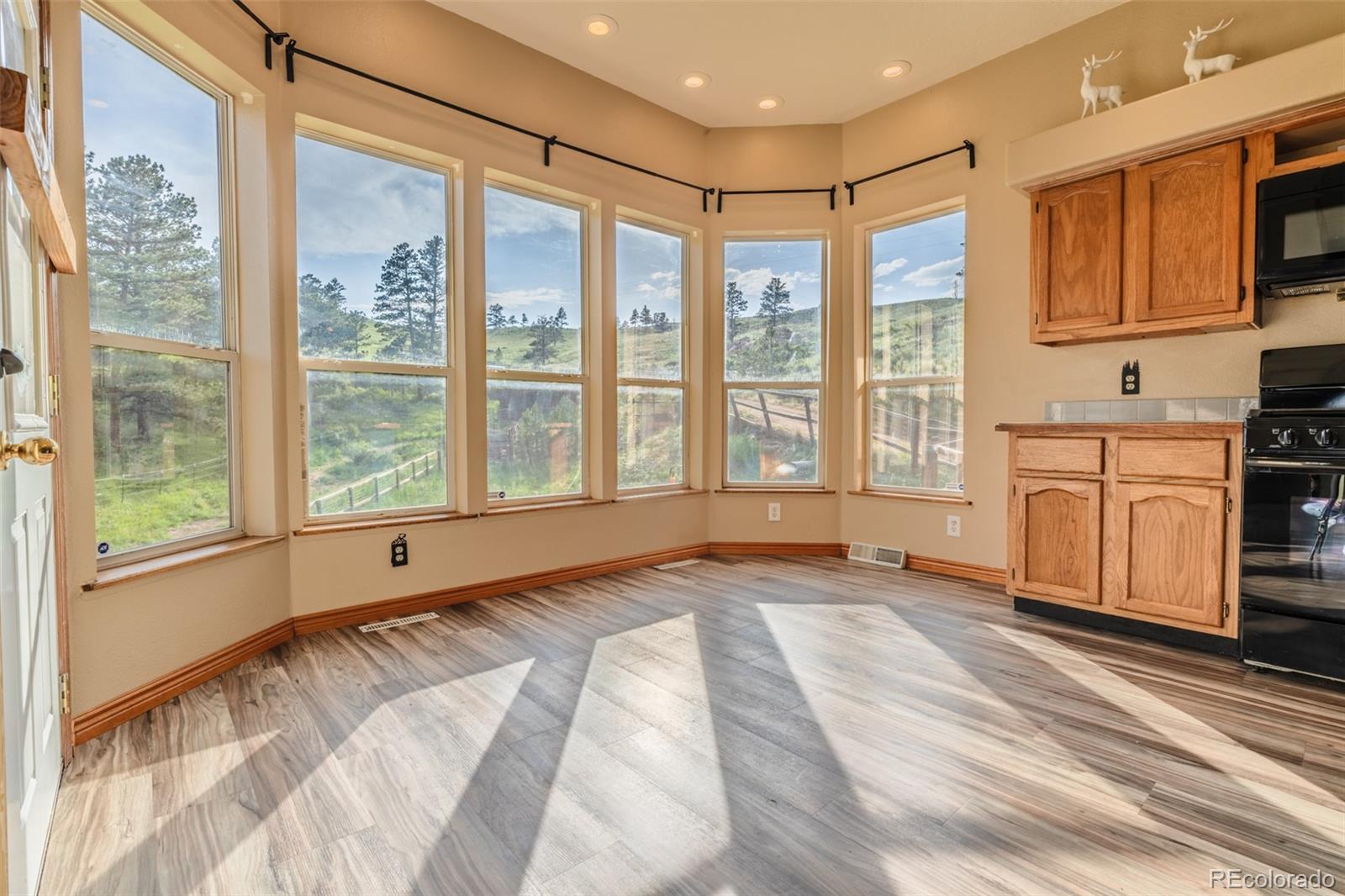 MLS Image #12 for 180  deep cut road,livermore, Colorado