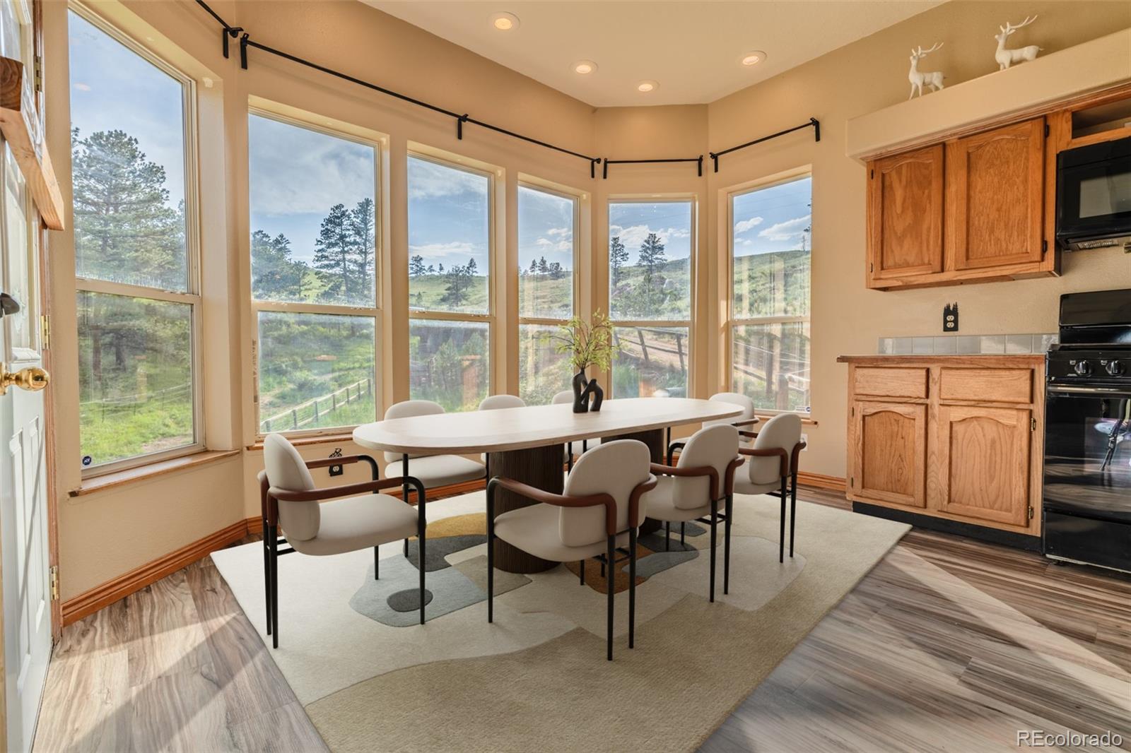MLS Image #13 for 180  deep cut road,livermore, Colorado