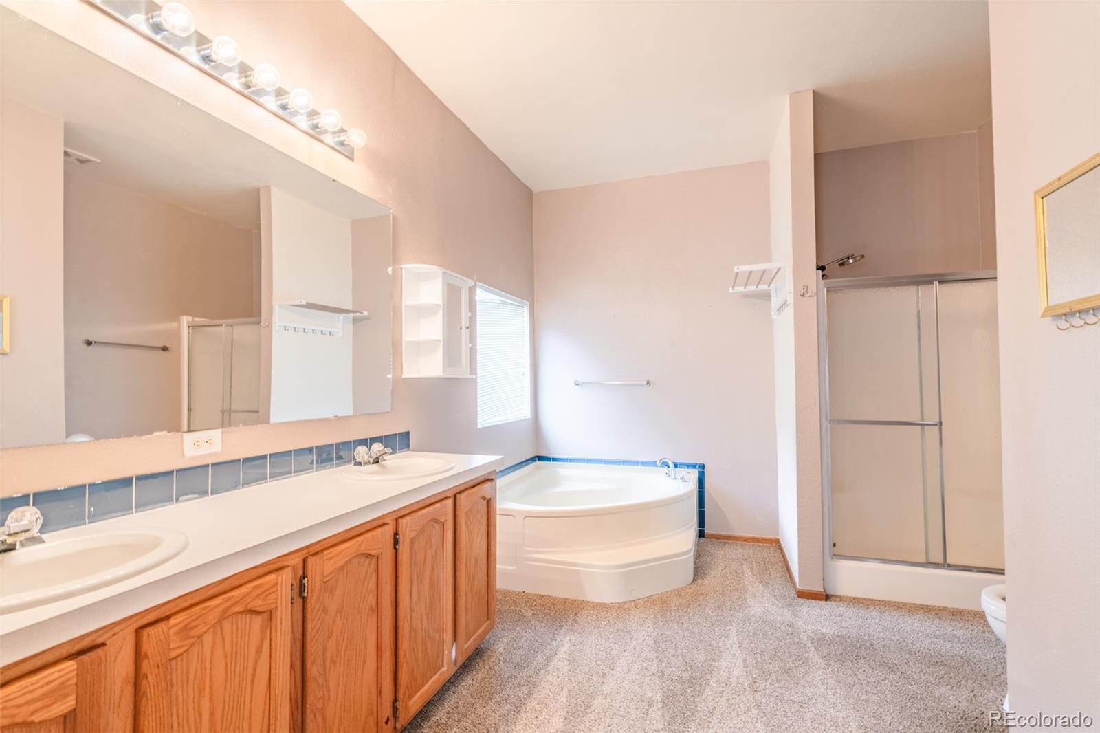 MLS Image #19 for 180  deep cut road,livermore, Colorado