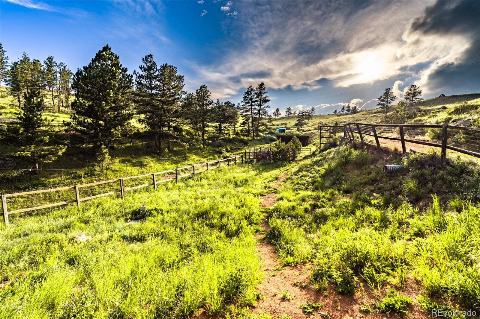 MLS Image #33 for 180  deep cut road,livermore, Colorado