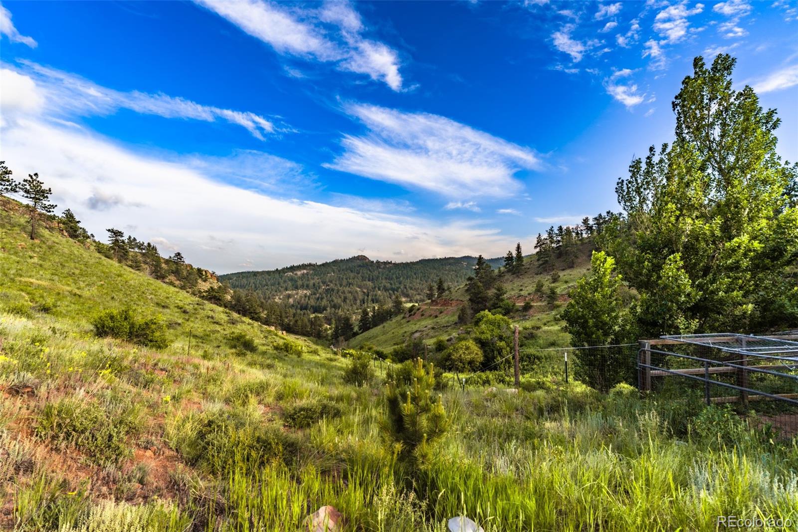 MLS Image #34 for 180  deep cut road,livermore, Colorado