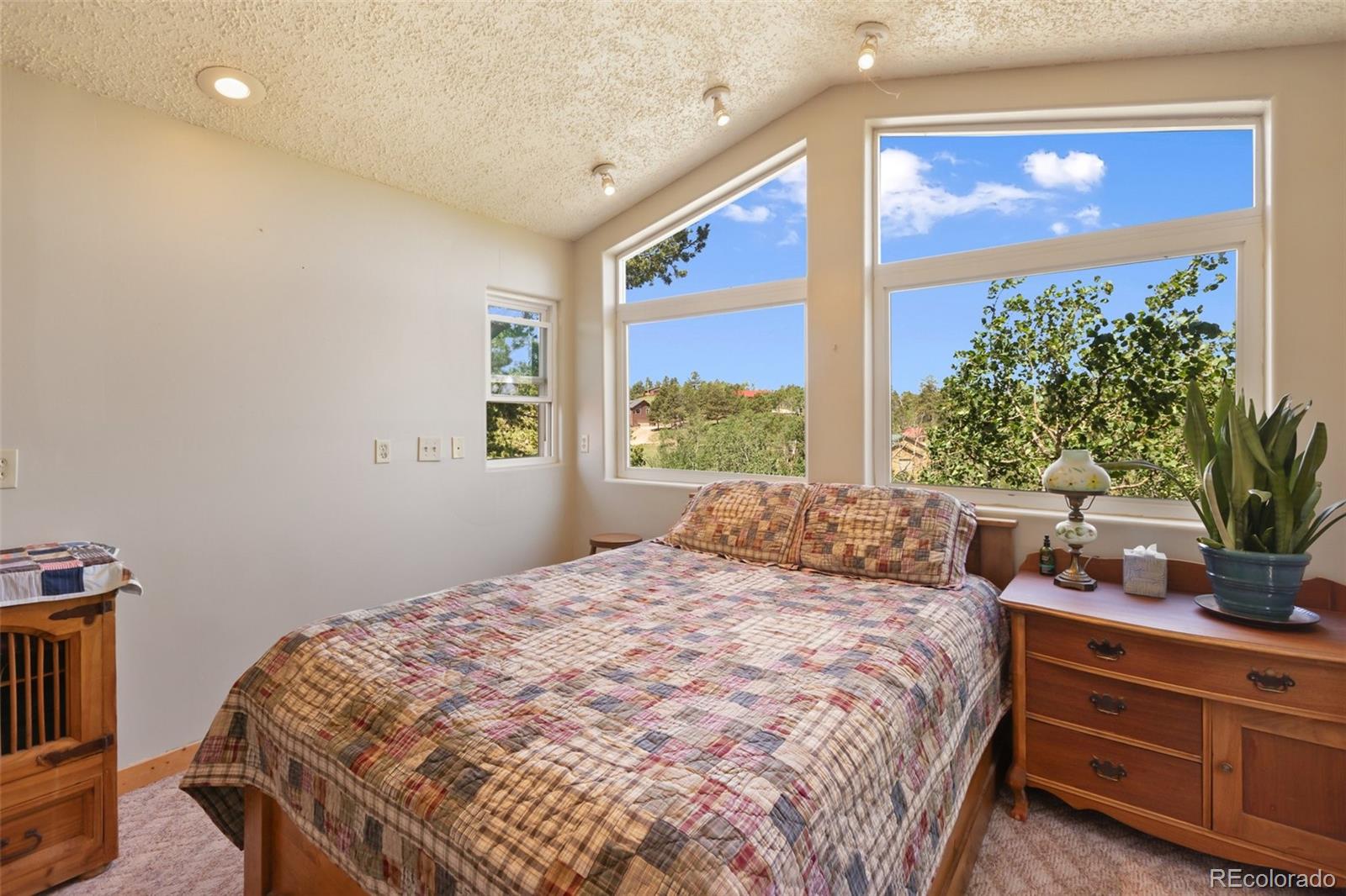 MLS Image #24 for 47  red cloud road,woodland park, Colorado