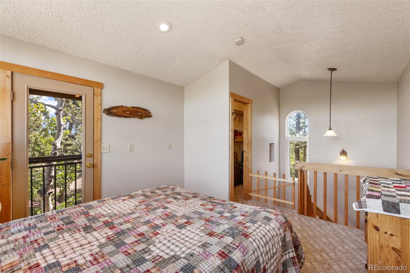 MLS Image #25 for 47  red cloud road,woodland park, Colorado
