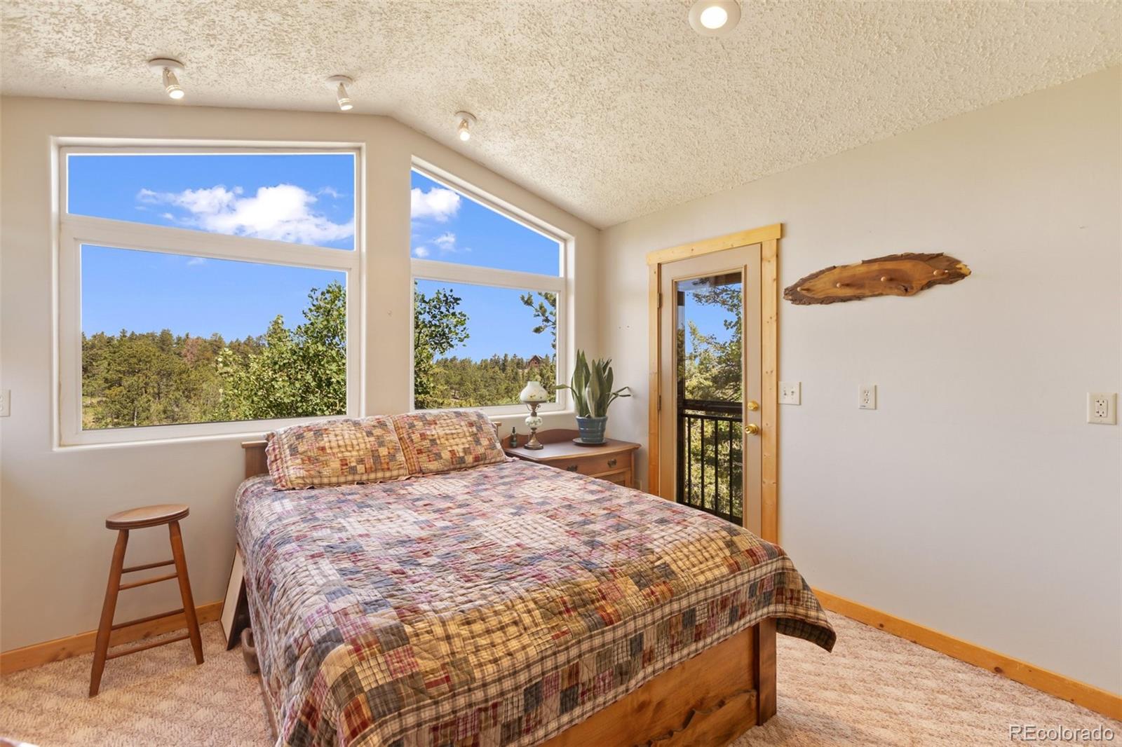 MLS Image #26 for 47  red cloud road,woodland park, Colorado