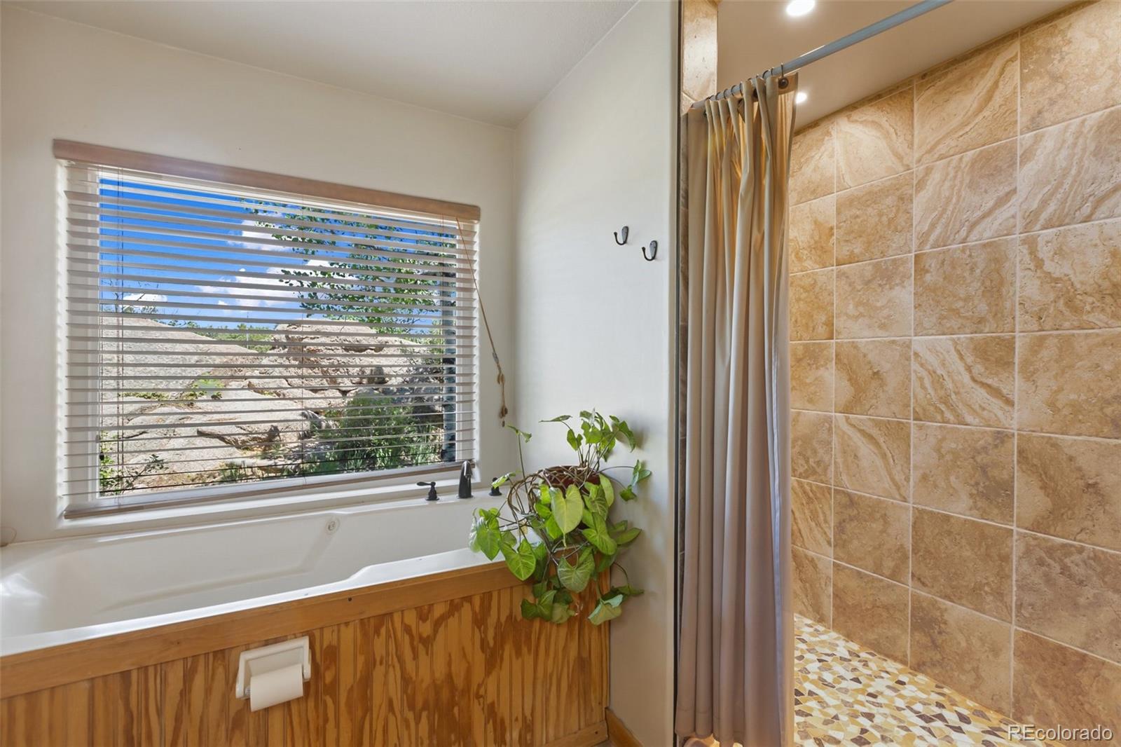 MLS Image #28 for 47  red cloud road,woodland park, Colorado