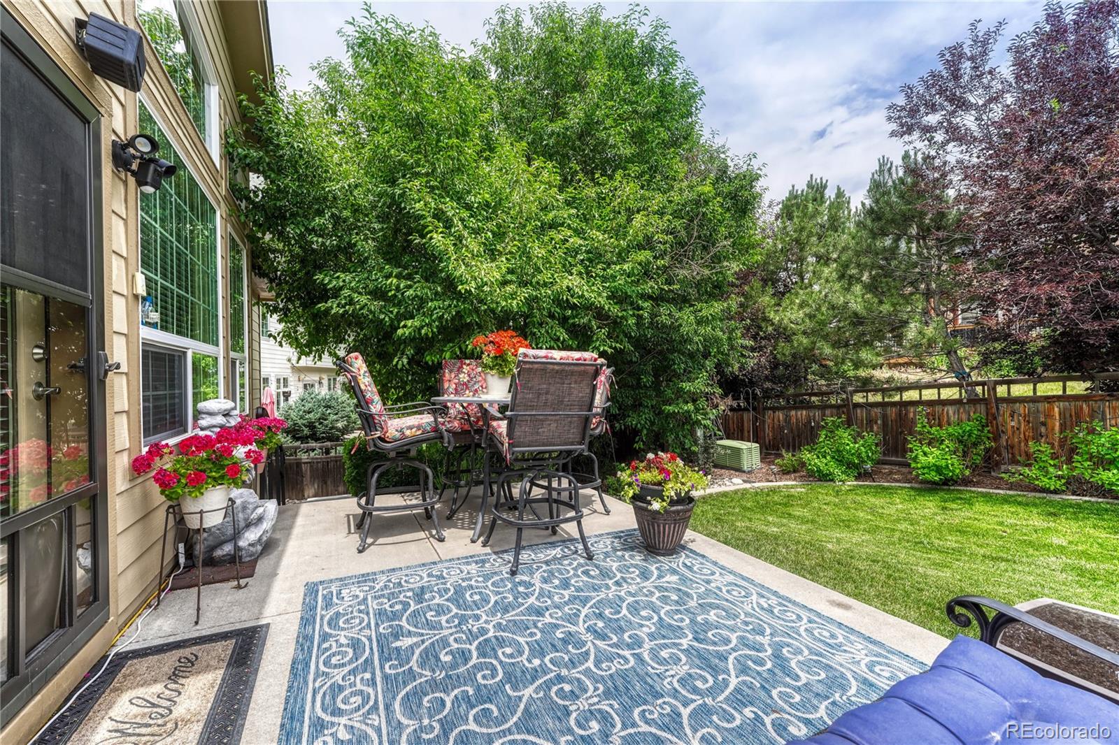 MLS Image #4 for 2868  breezy lane,castle rock, Colorado