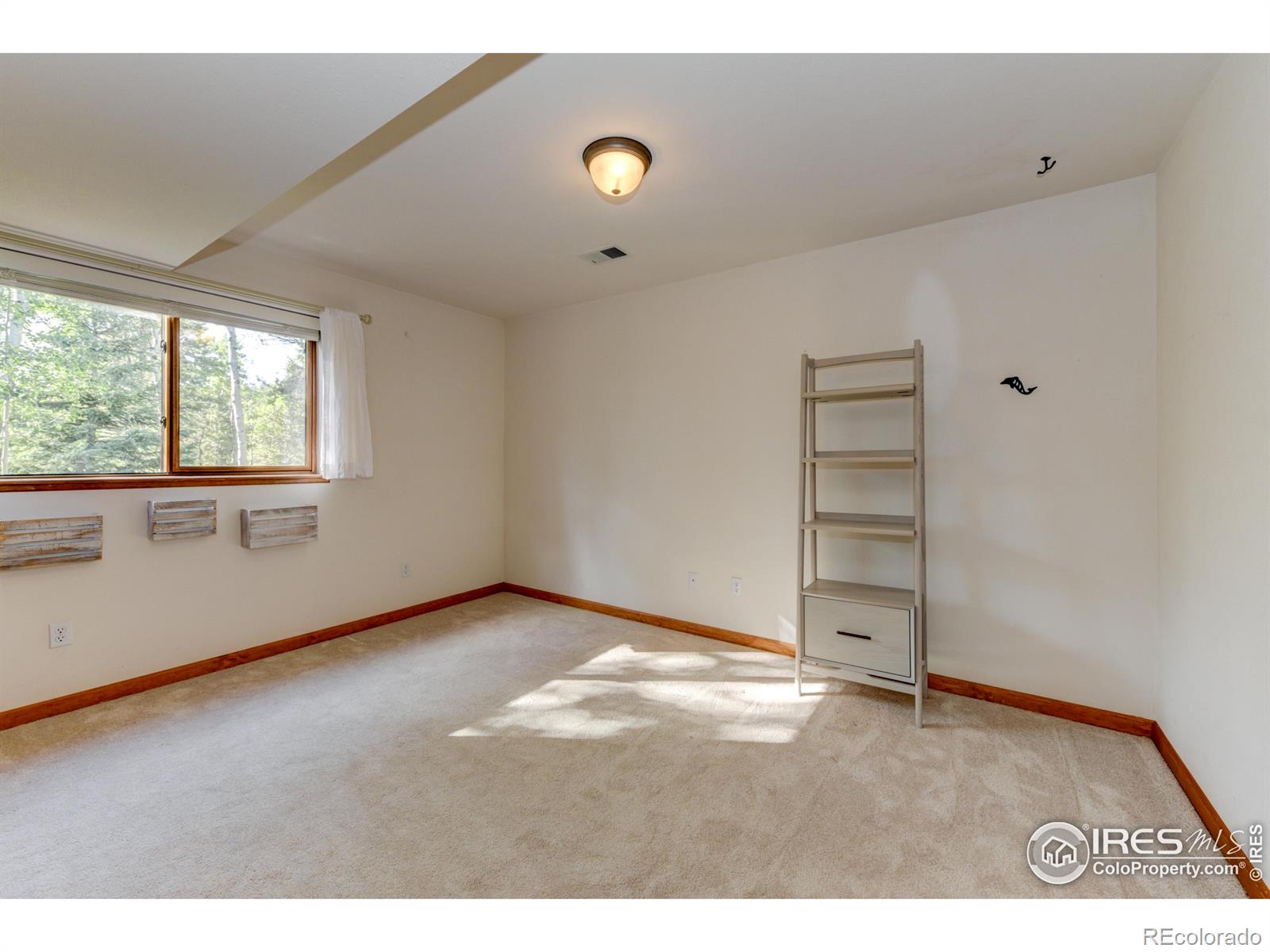 MLS Image #27 for 1730  coyote circle,black hawk, Colorado
