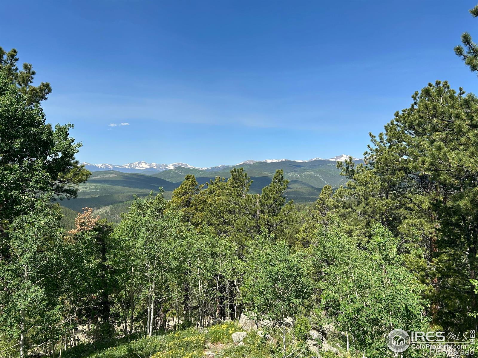MLS Image #4 for 1730  coyote circle,black hawk, Colorado