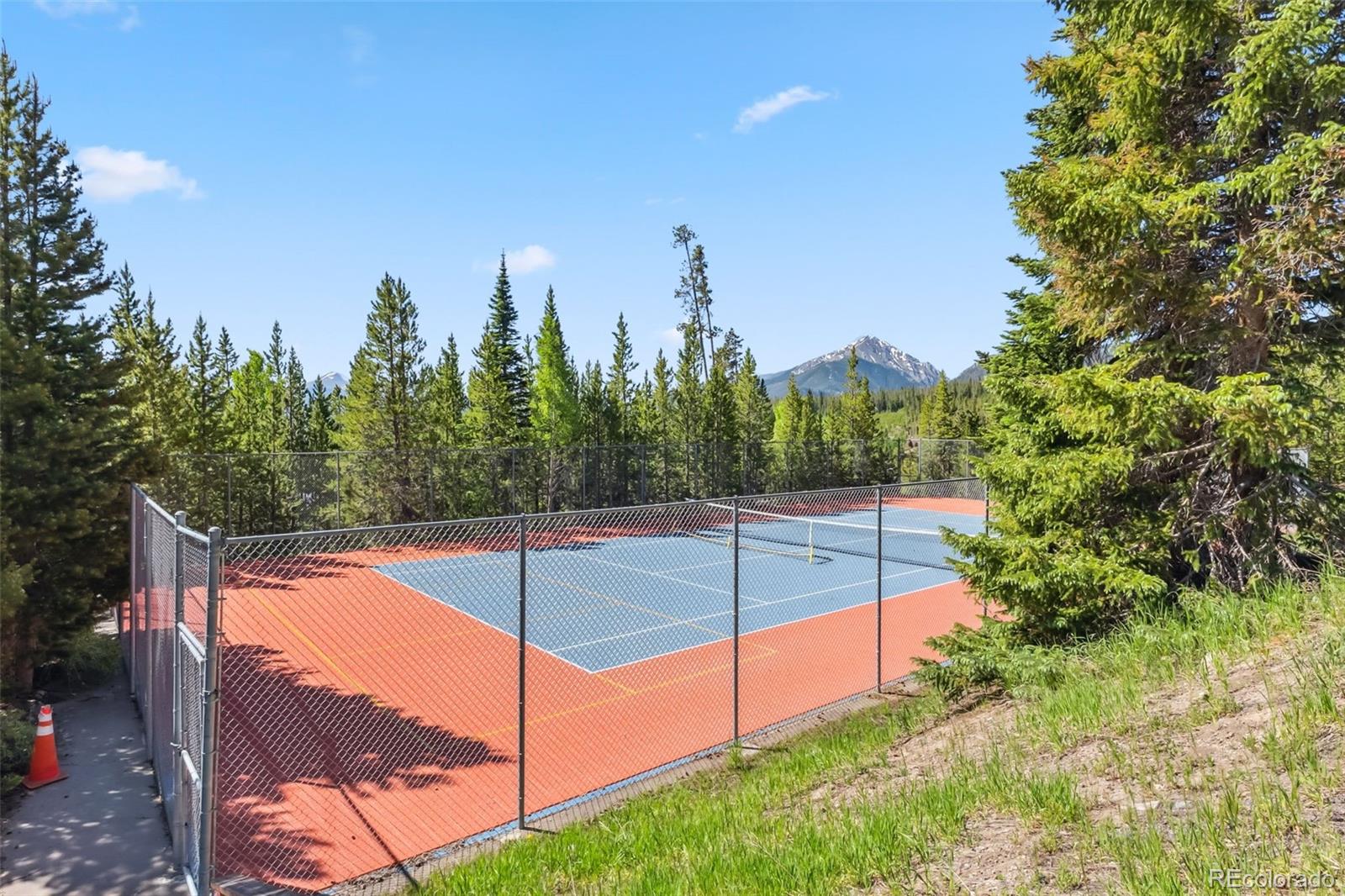 MLS Image #19 for 91400  ryan gulch road,silverthorne, Colorado