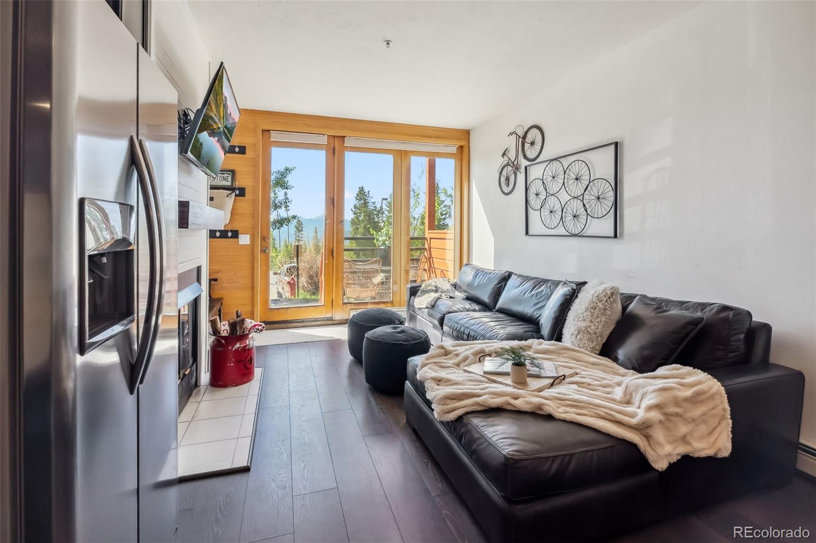 MLS Image #2 for 91400  ryan gulch road,silverthorne, Colorado
