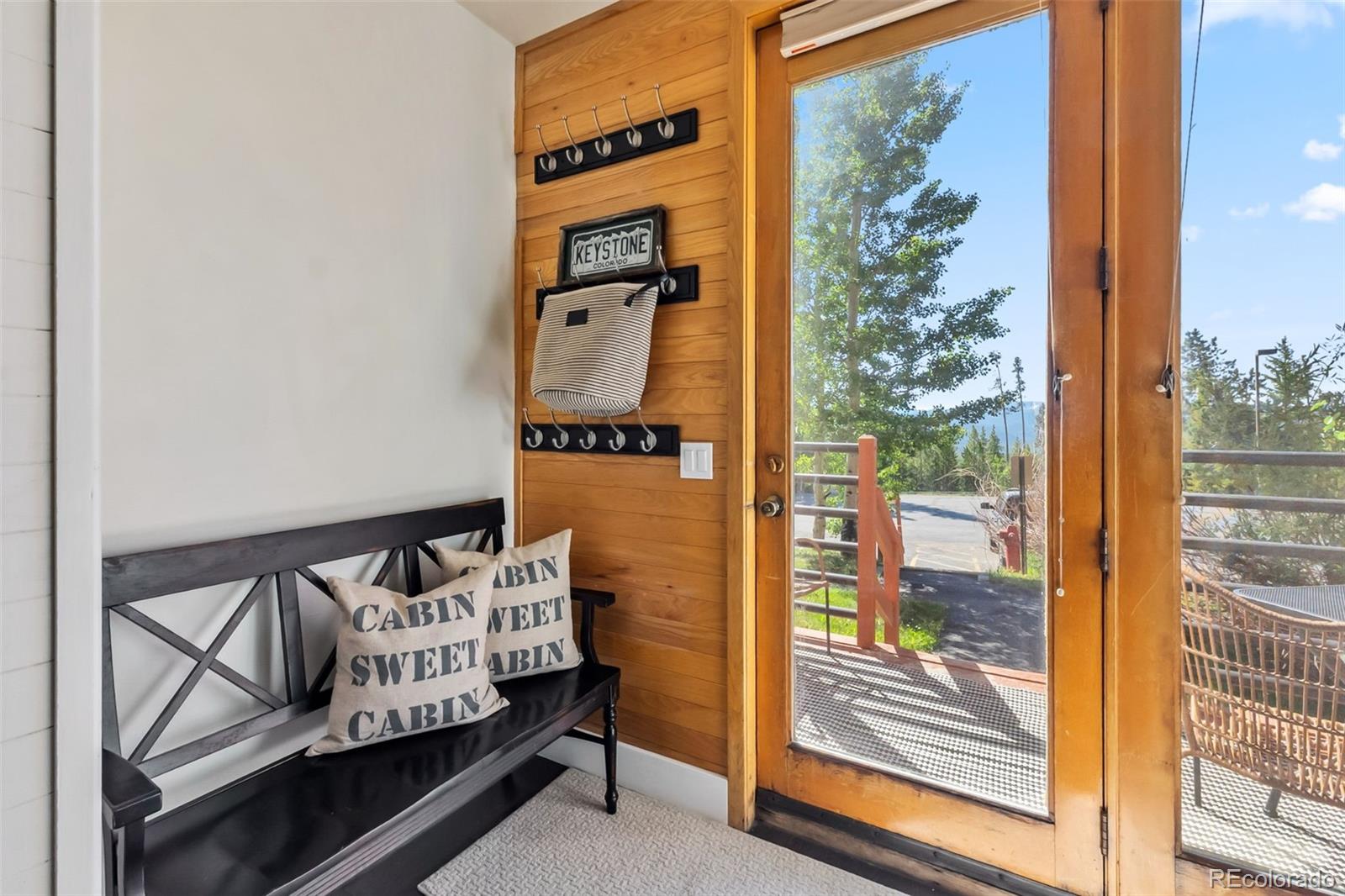 MLS Image #3 for 91400  ryan gulch road,silverthorne, Colorado