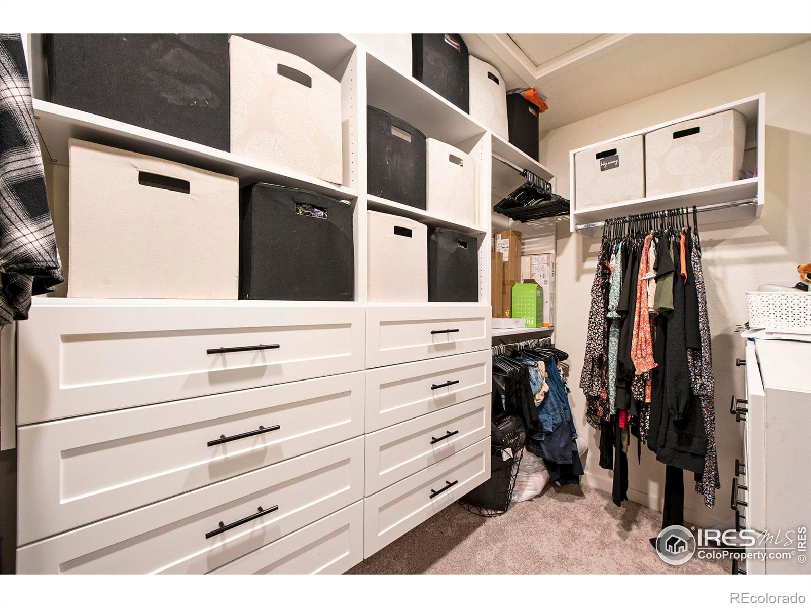 MLS Image #13 for 4403  garnet way,longmont, Colorado