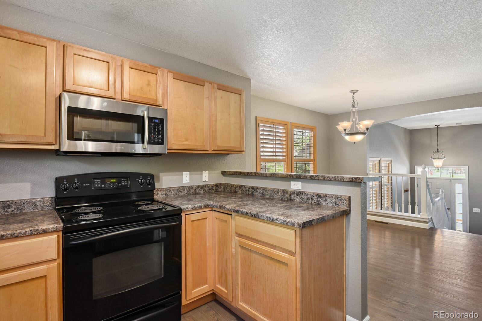 MLS Image #14 for 1484  nemrick place,castle rock, Colorado