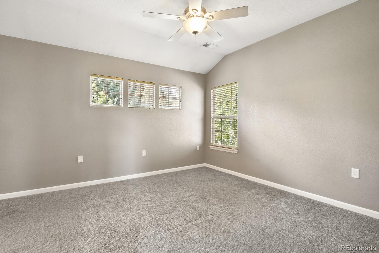 MLS Image #19 for 1484  nemrick place,castle rock, Colorado