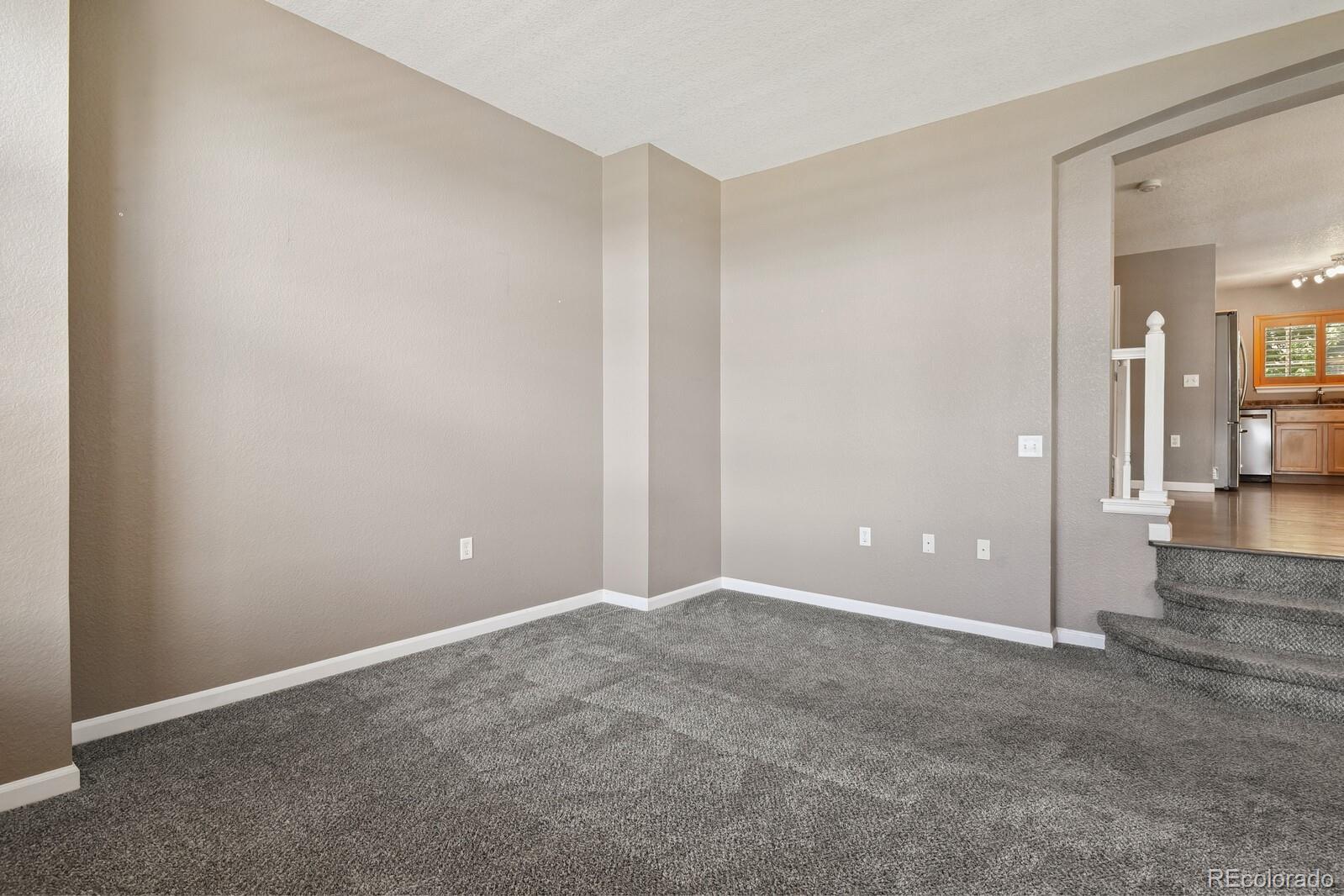 MLS Image #5 for 1484  nemrick place,castle rock, Colorado