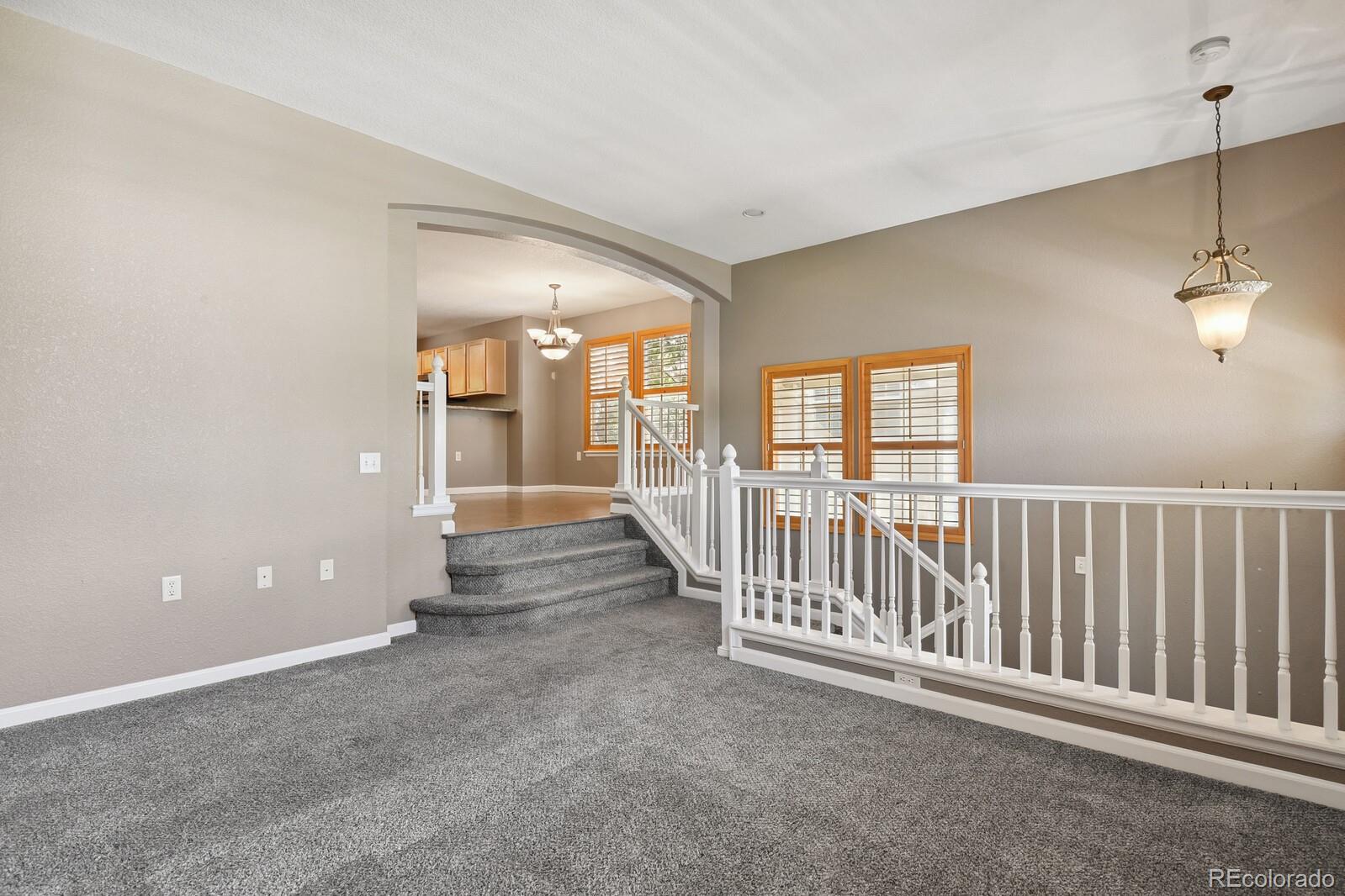 MLS Image #6 for 1484  nemrick place,castle rock, Colorado