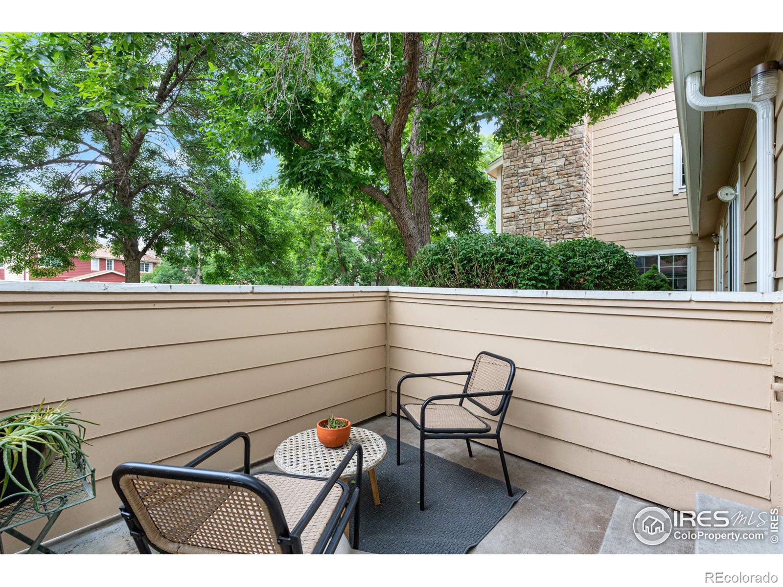 MLS Image #21 for 8416  everett way,arvada, Colorado