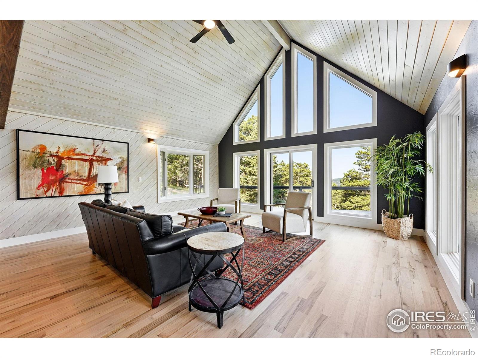 MLS Image #14 for 31  wild tiger lane,boulder, Colorado