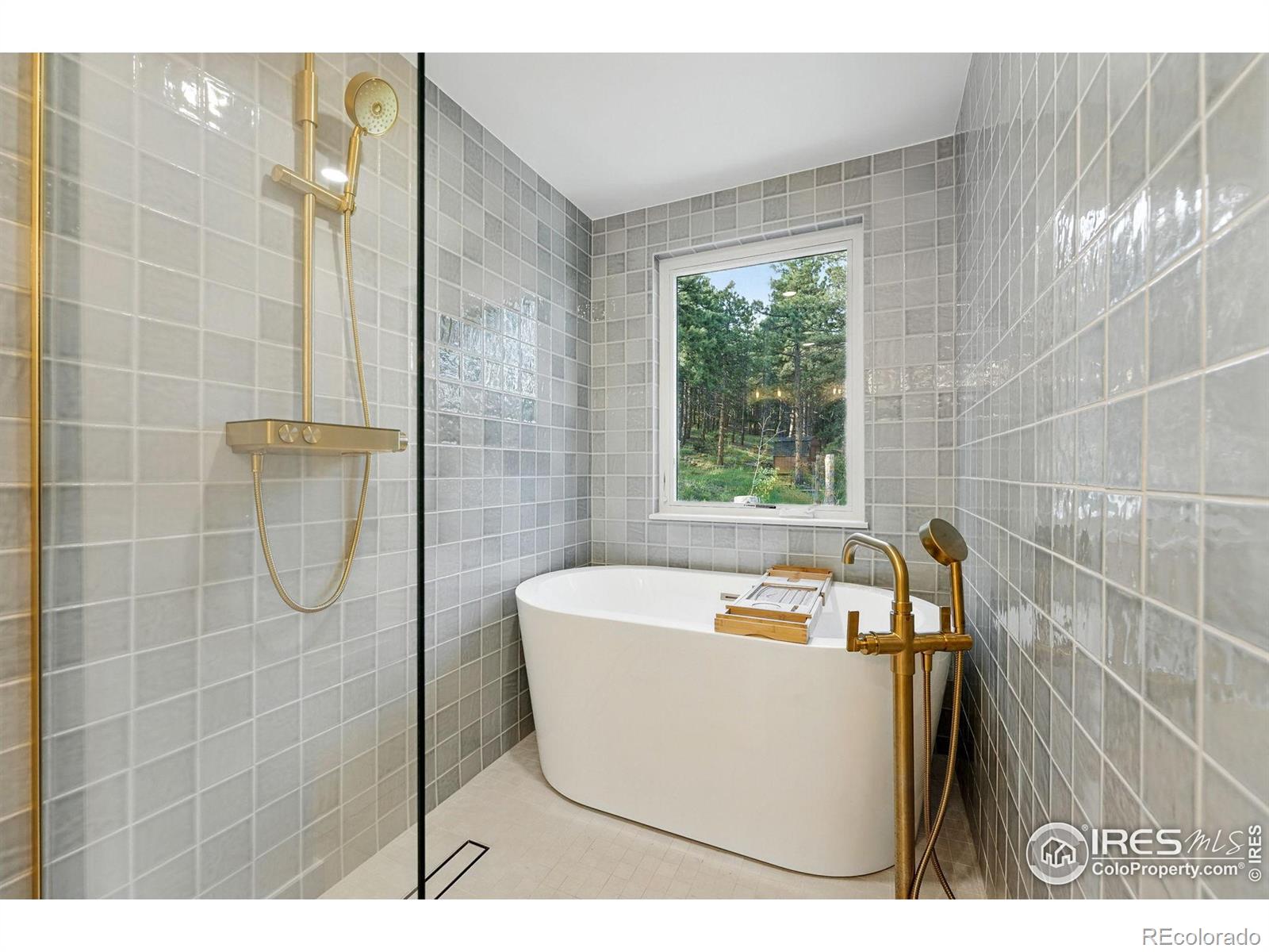 MLS Image #6 for 31  wild tiger lane,boulder, Colorado