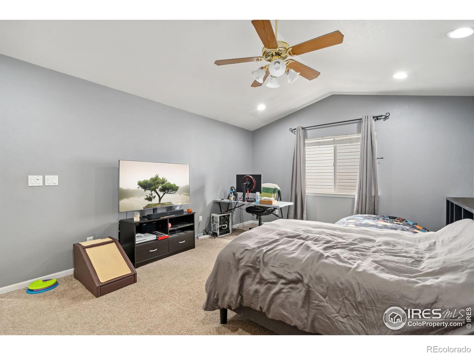 MLS Image #10 for 410  norwood court,windsor, Colorado