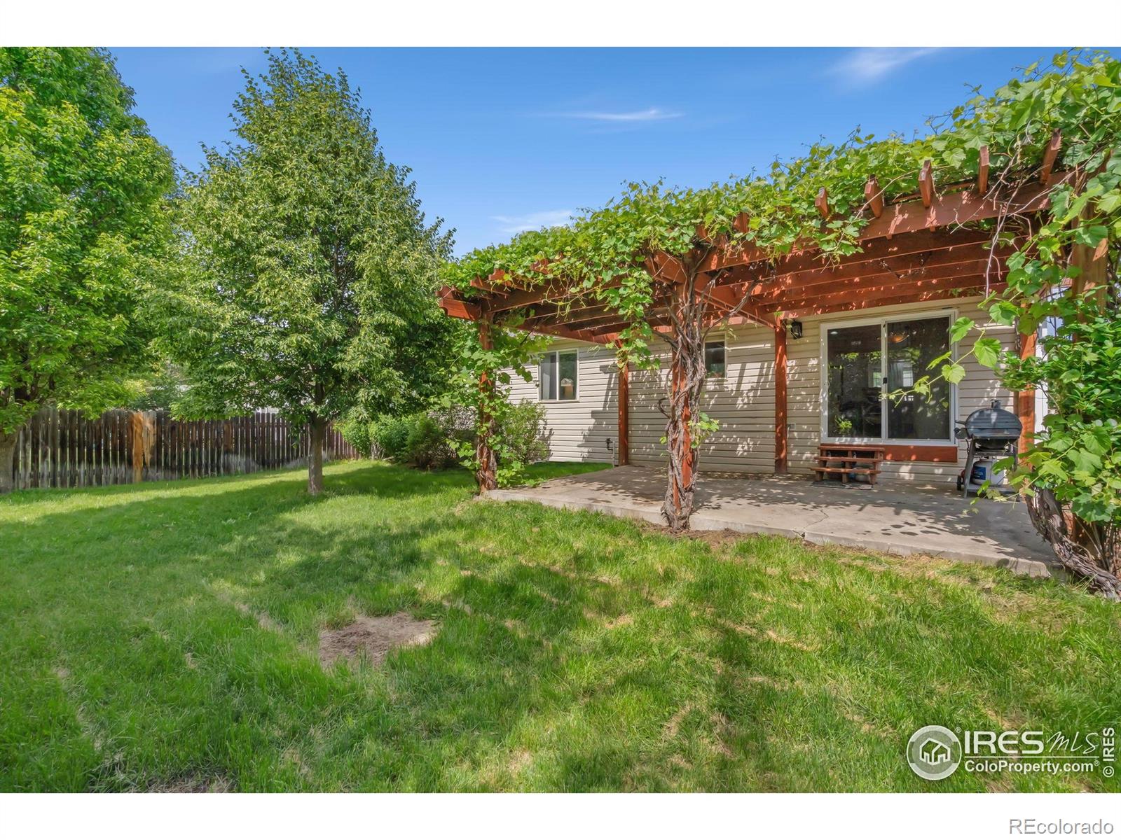 MLS Image #17 for 410  norwood court,windsor, Colorado