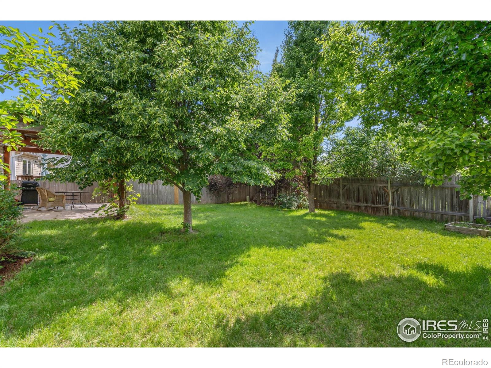 MLS Image #19 for 410  norwood court,windsor, Colorado