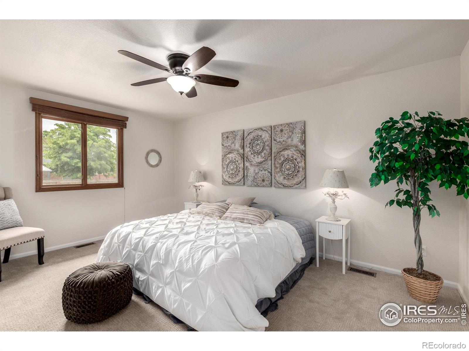 MLS Image #15 for 209 e chestnut street,windsor, Colorado