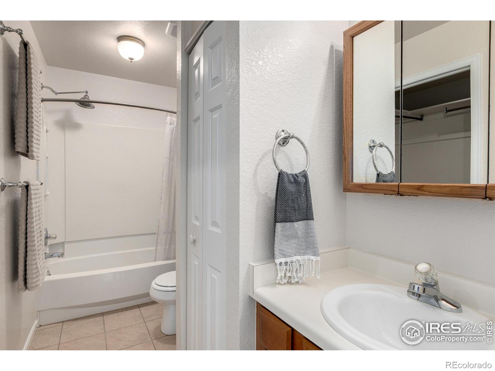 MLS Image #16 for 209 e chestnut street,windsor, Colorado