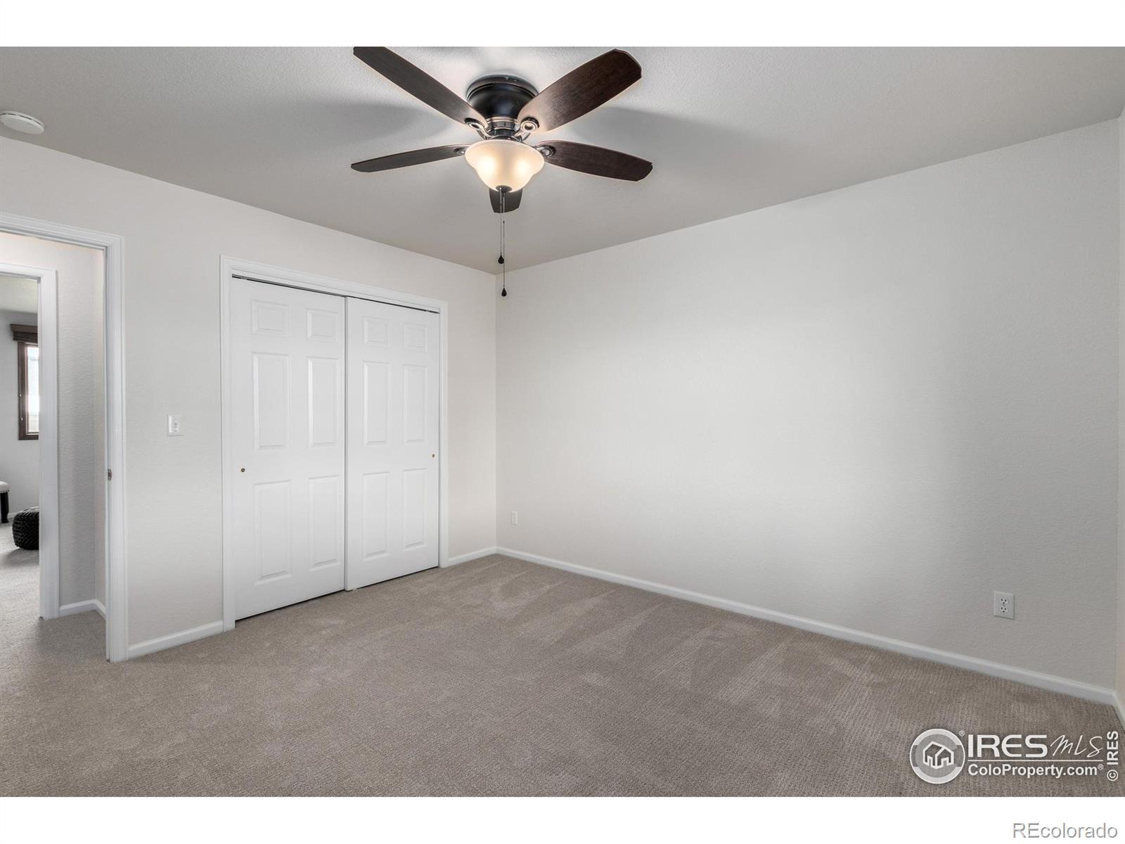 MLS Image #19 for 209 e chestnut street,windsor, Colorado