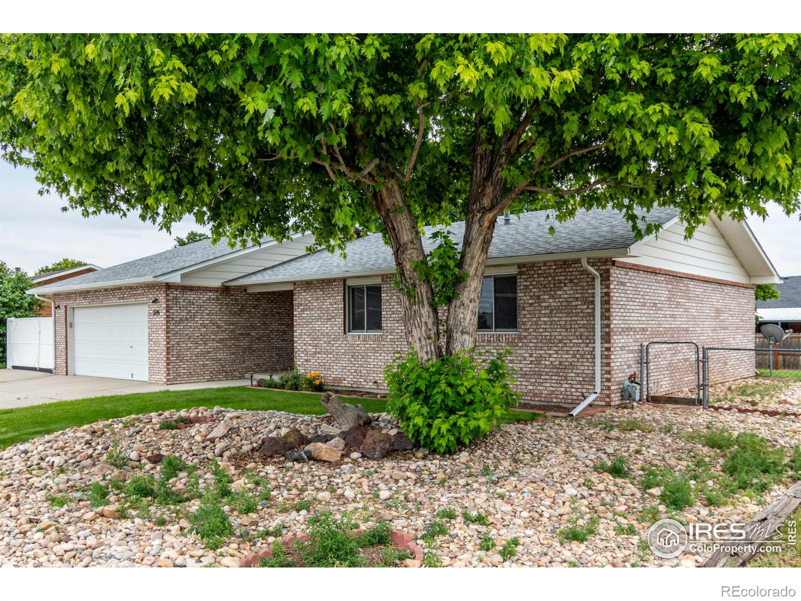 MLS Image #2 for 209 e chestnut street,windsor, Colorado