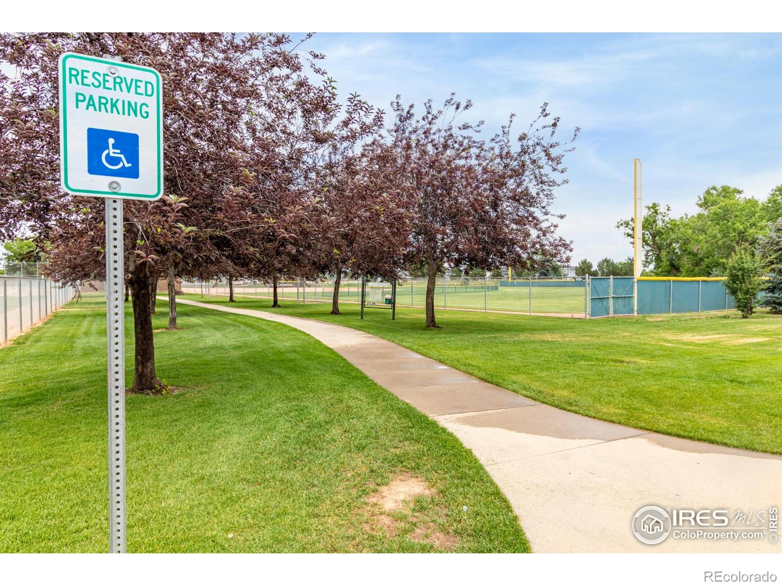 MLS Image #29 for 209 e chestnut street,windsor, Colorado