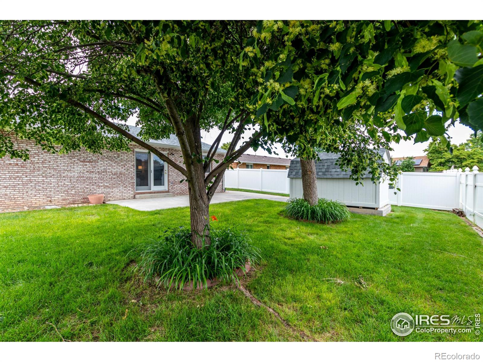 MLS Image #30 for 209 e chestnut street,windsor, Colorado