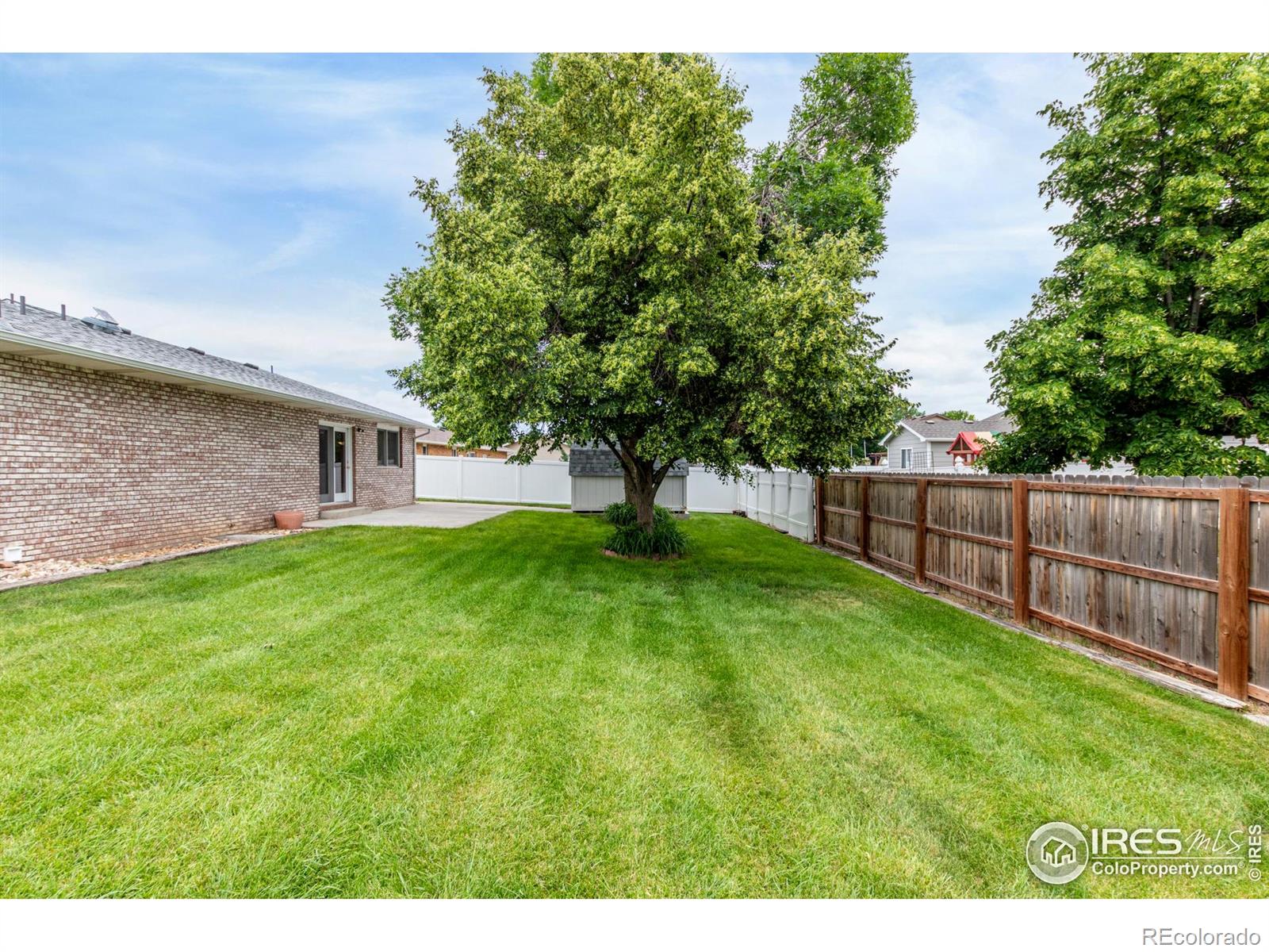 MLS Image #31 for 209 e chestnut street,windsor, Colorado
