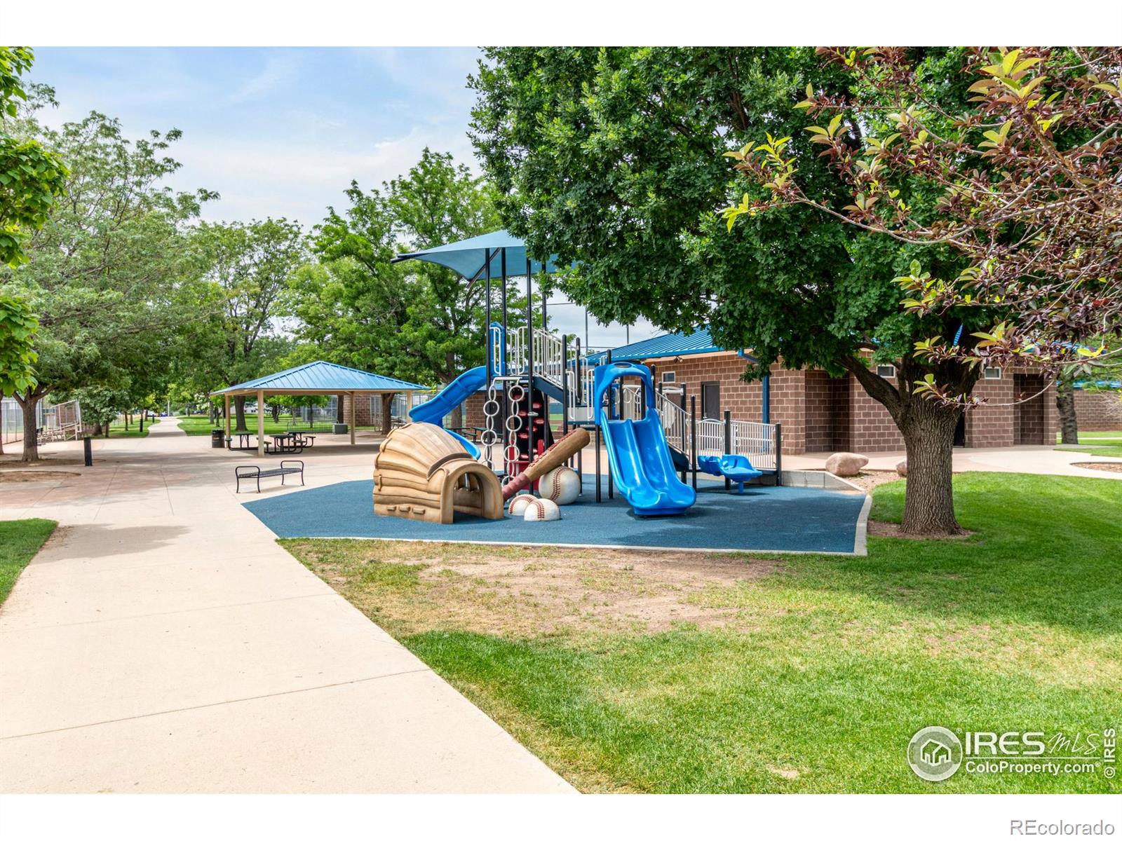 MLS Image #35 for 209 e chestnut street,windsor, Colorado
