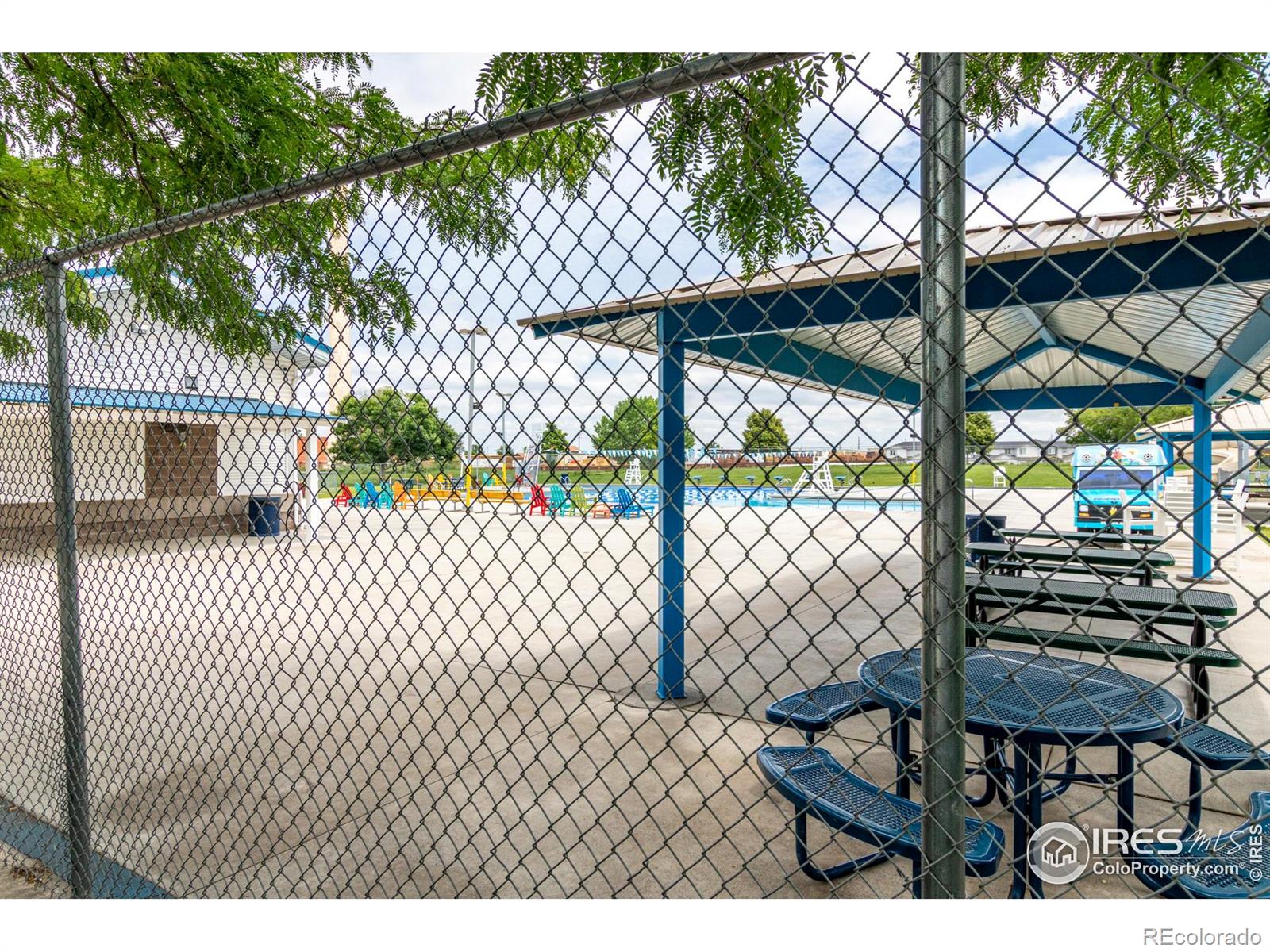 MLS Image #37 for 209 e chestnut street,windsor, Colorado