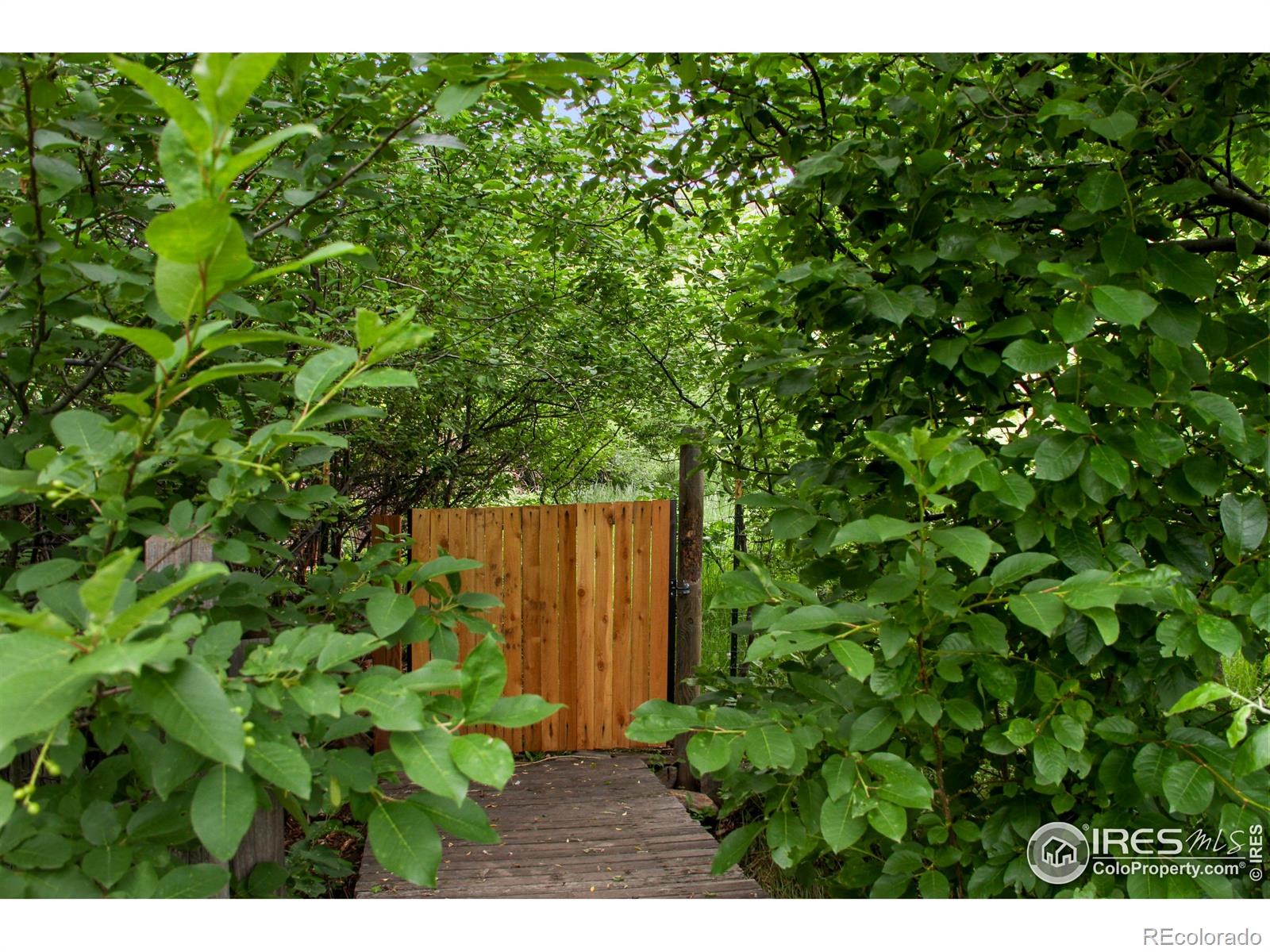 MLS Image #34 for 3421  4th street,boulder, Colorado