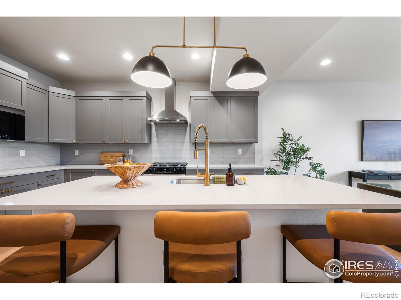 MLS Image #6 for 648  greenspire drive,windsor, Colorado
