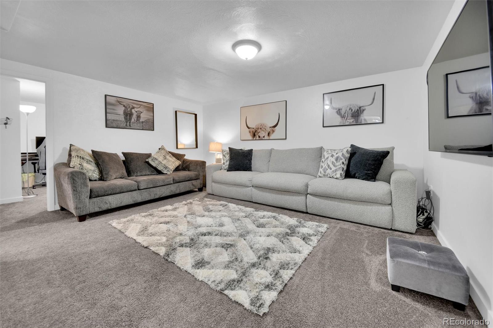 MLS Image #15 for 61 s 17th avdr ,brighton, Colorado