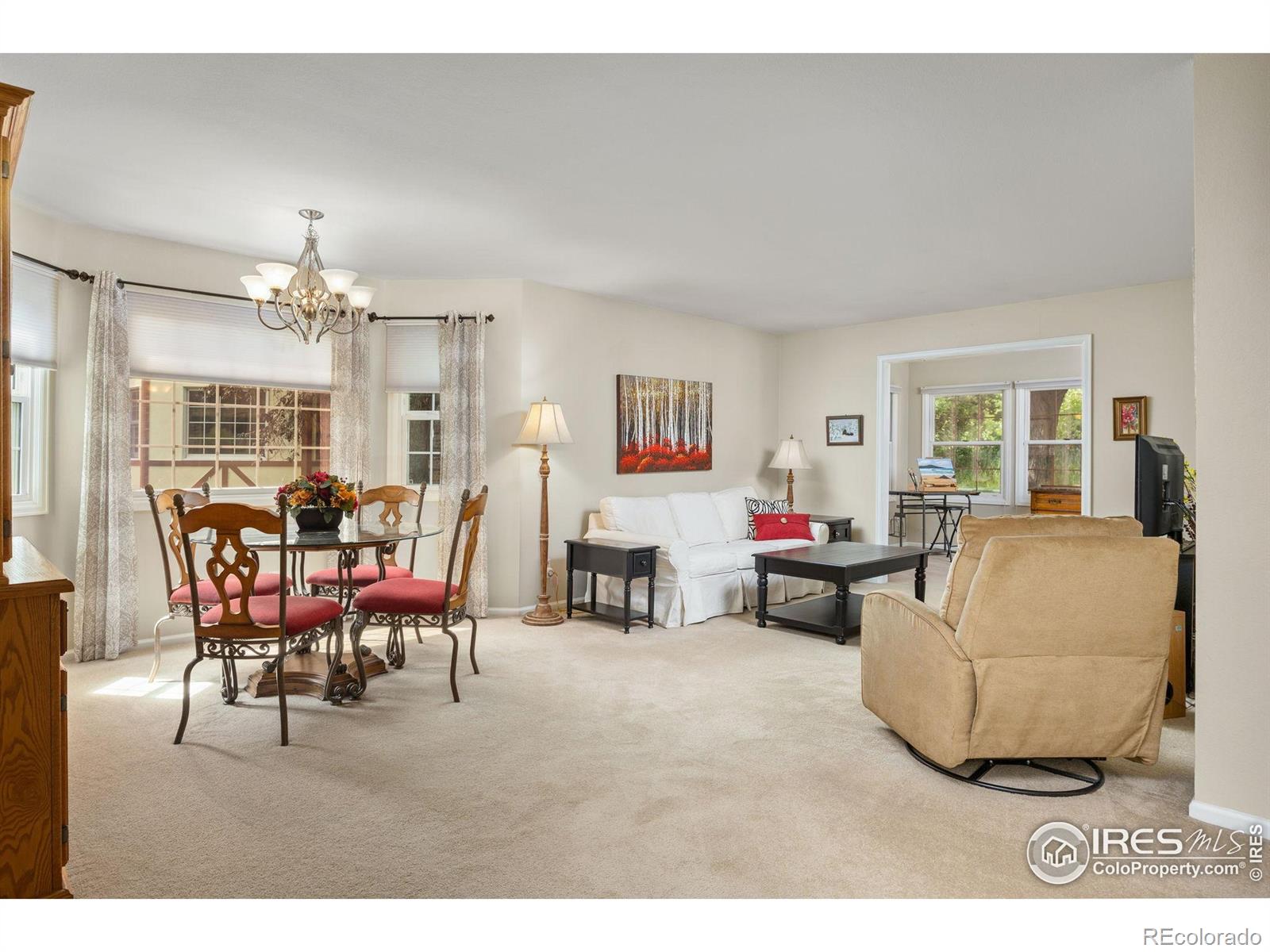 MLS Image #14 for 1443  elmhurst court,longmont, Colorado