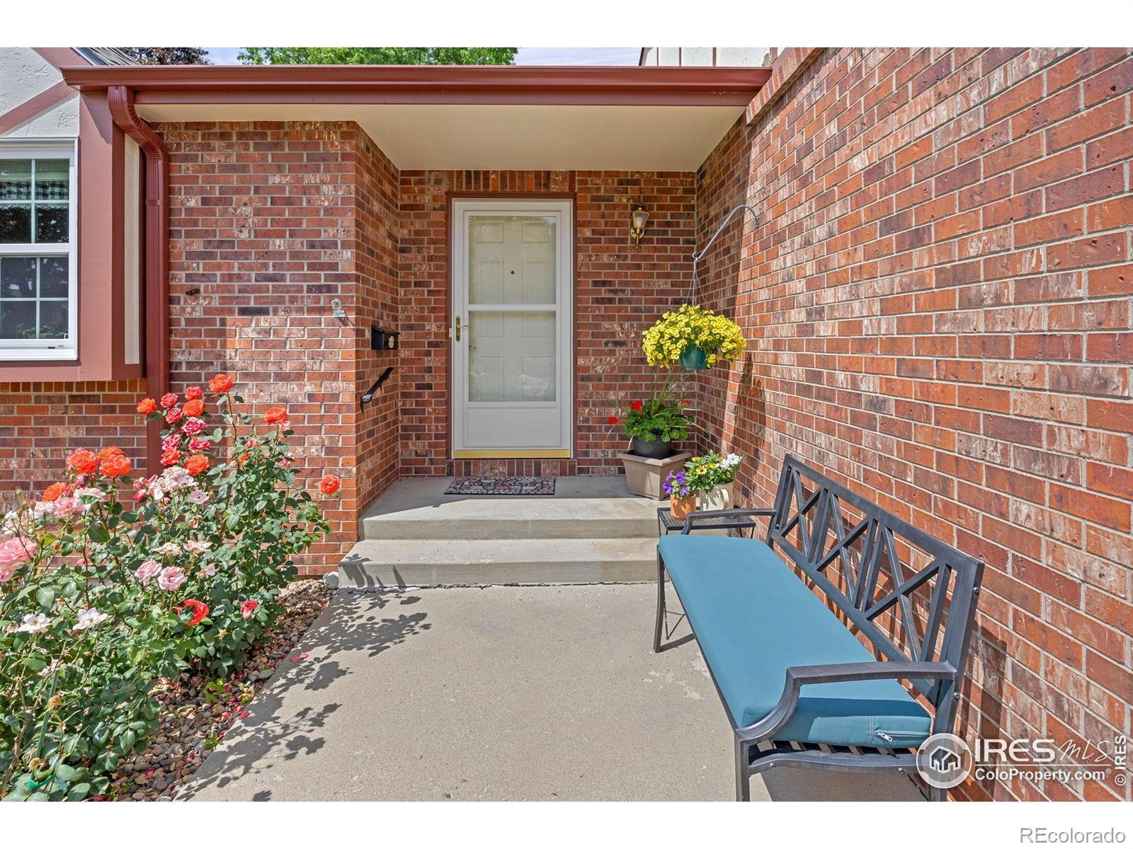 MLS Image #3 for 1443  elmhurst court,longmont, Colorado