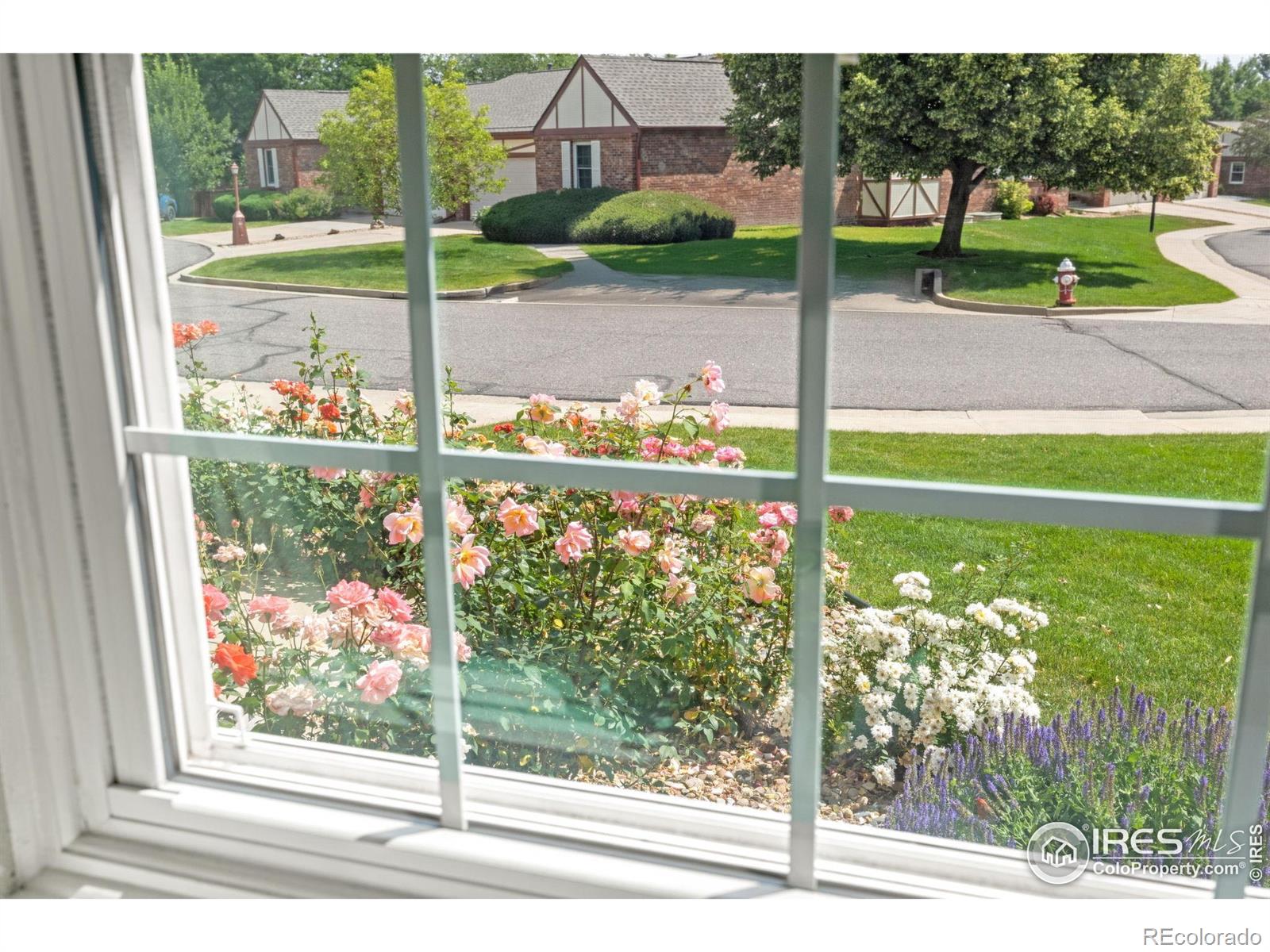 MLS Image #7 for 1443  elmhurst court,longmont, Colorado