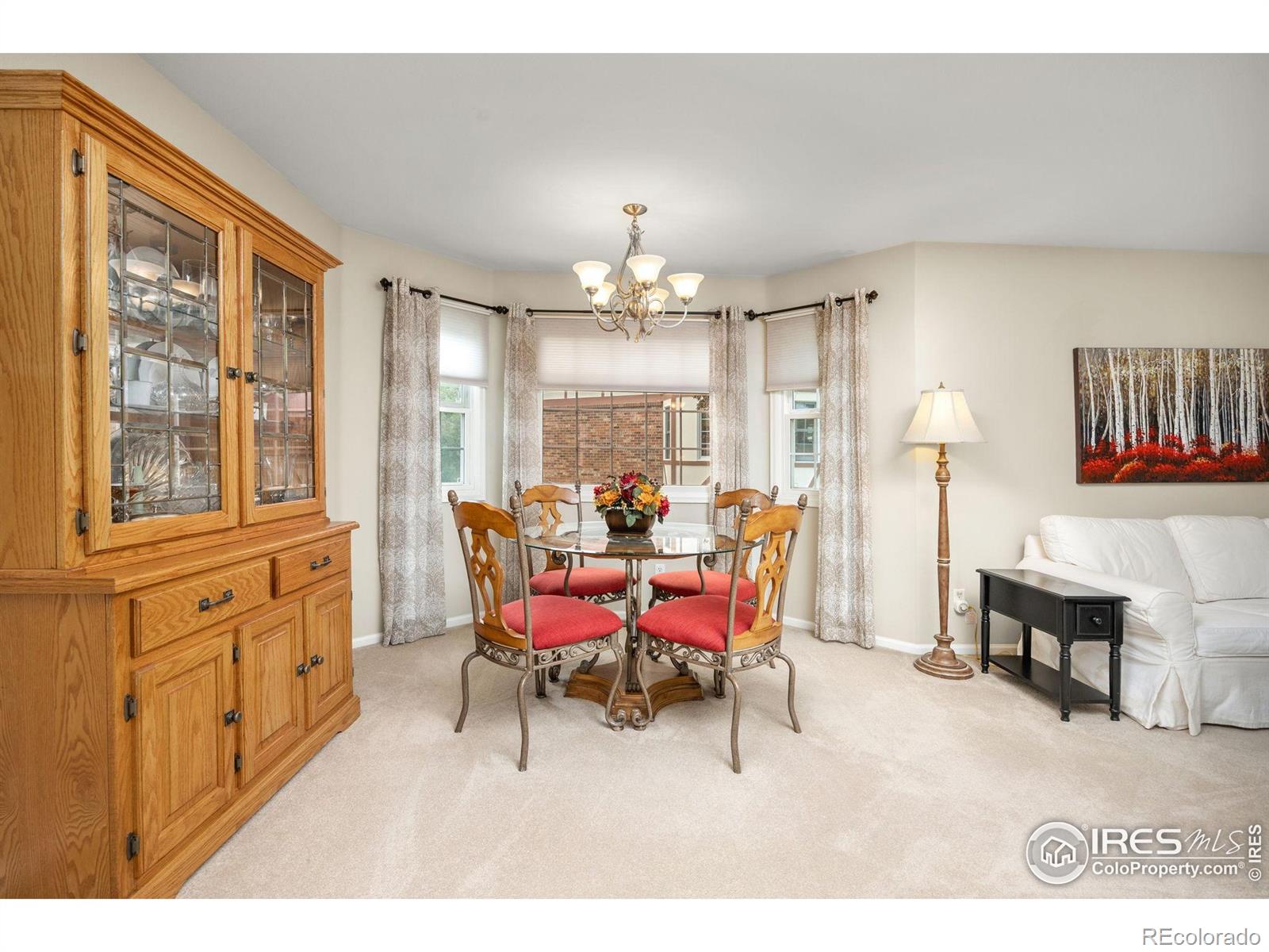 MLS Image #9 for 1443  elmhurst court,longmont, Colorado