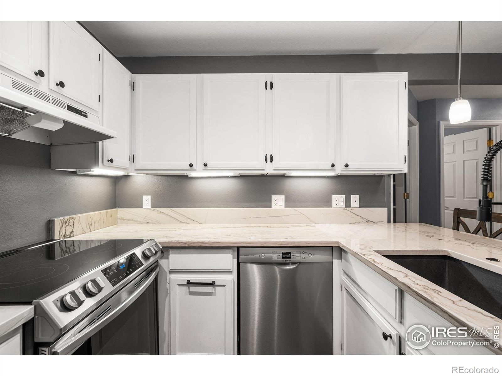 MLS Image #10 for 3531  windmill drive,fort collins, Colorado