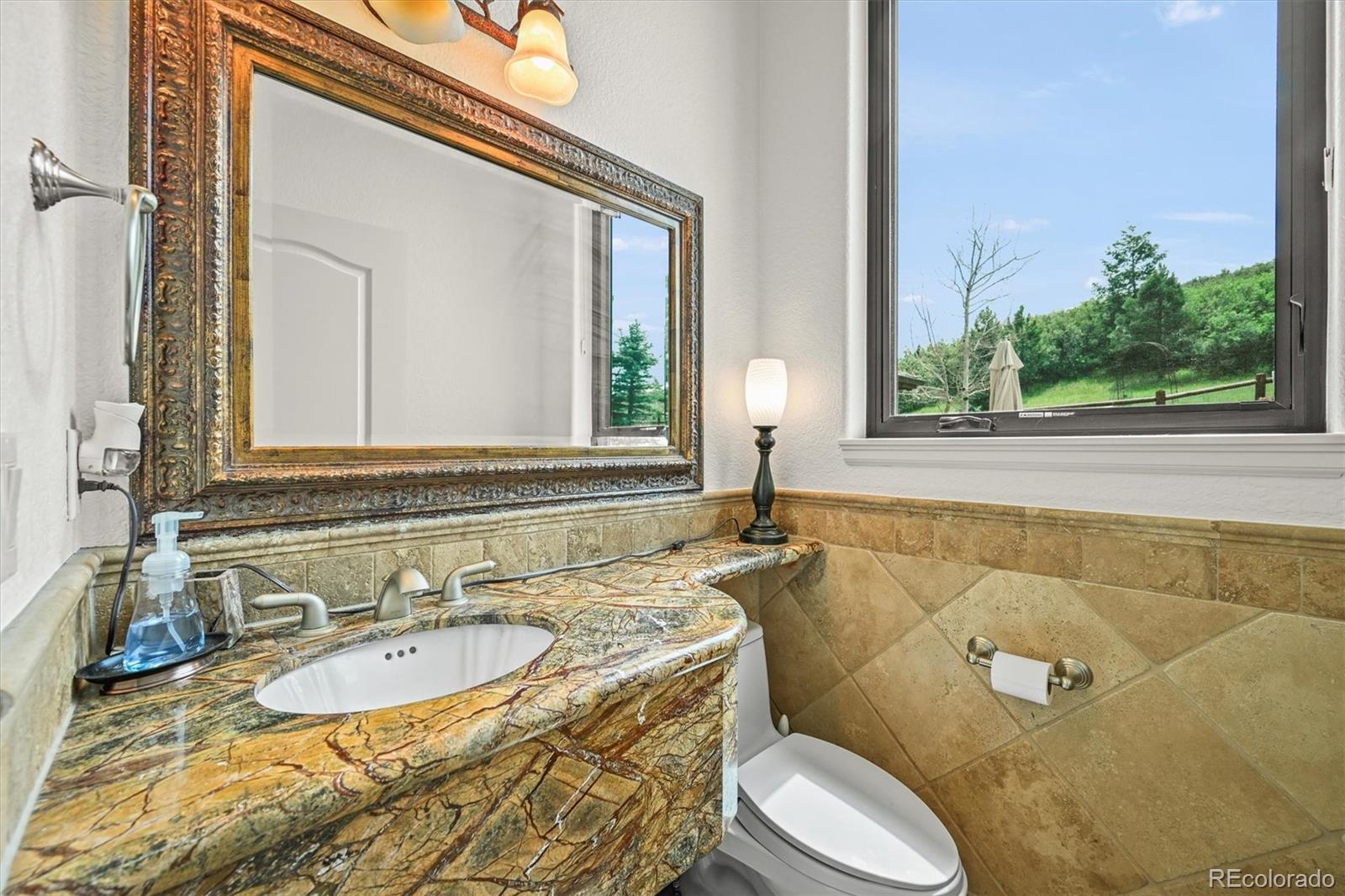 MLS Image #13 for 580  summer mist circle,castle rock, Colorado