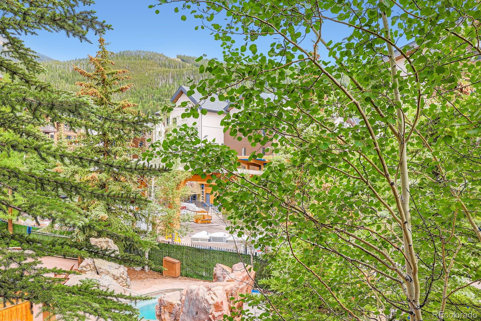 MLS Image #24 for 53  hunki dori court 8835,keystone, Colorado
